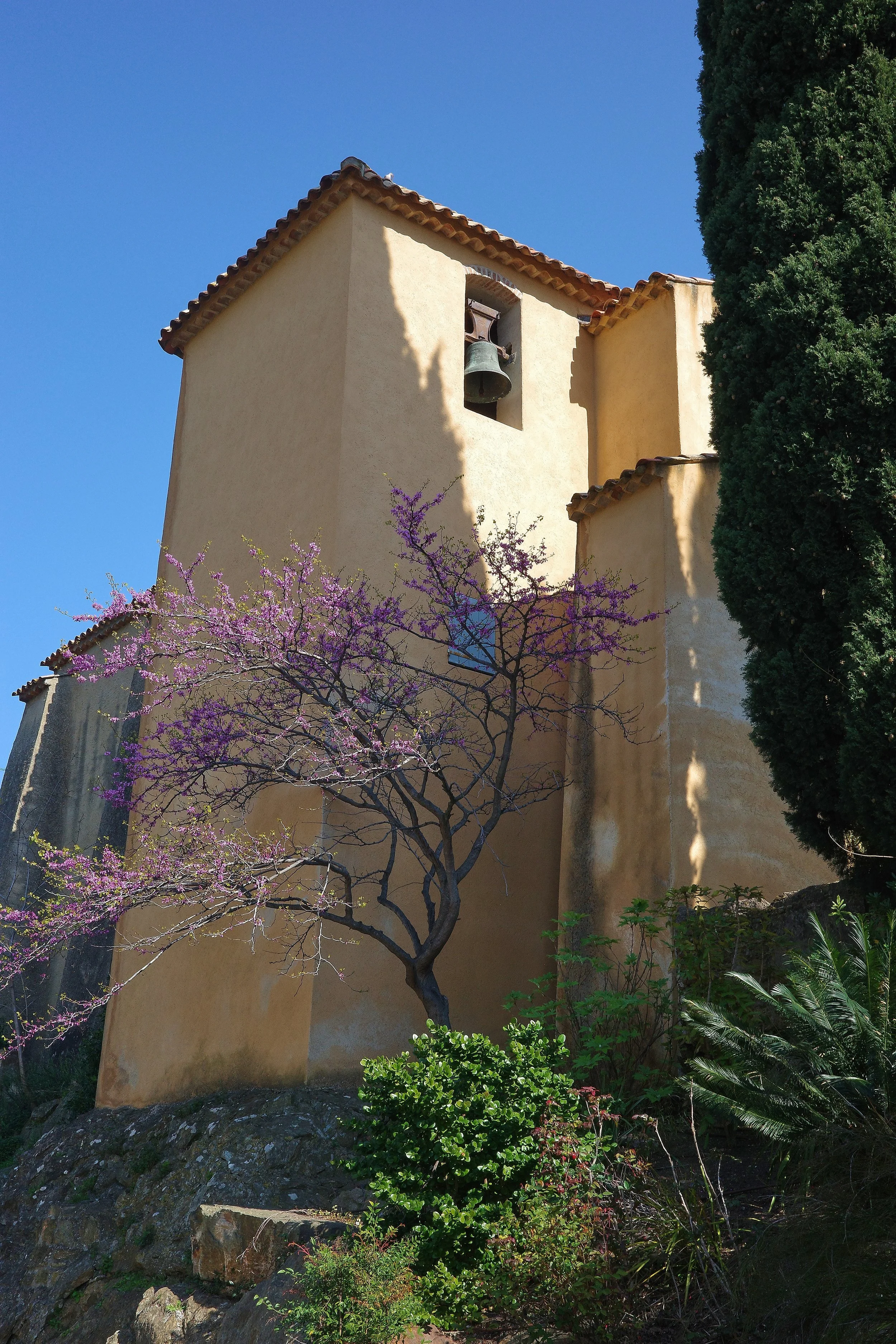 R0002115_RICOH IMAGING COMPANY, LTD._20-03-26_WEB.jpg