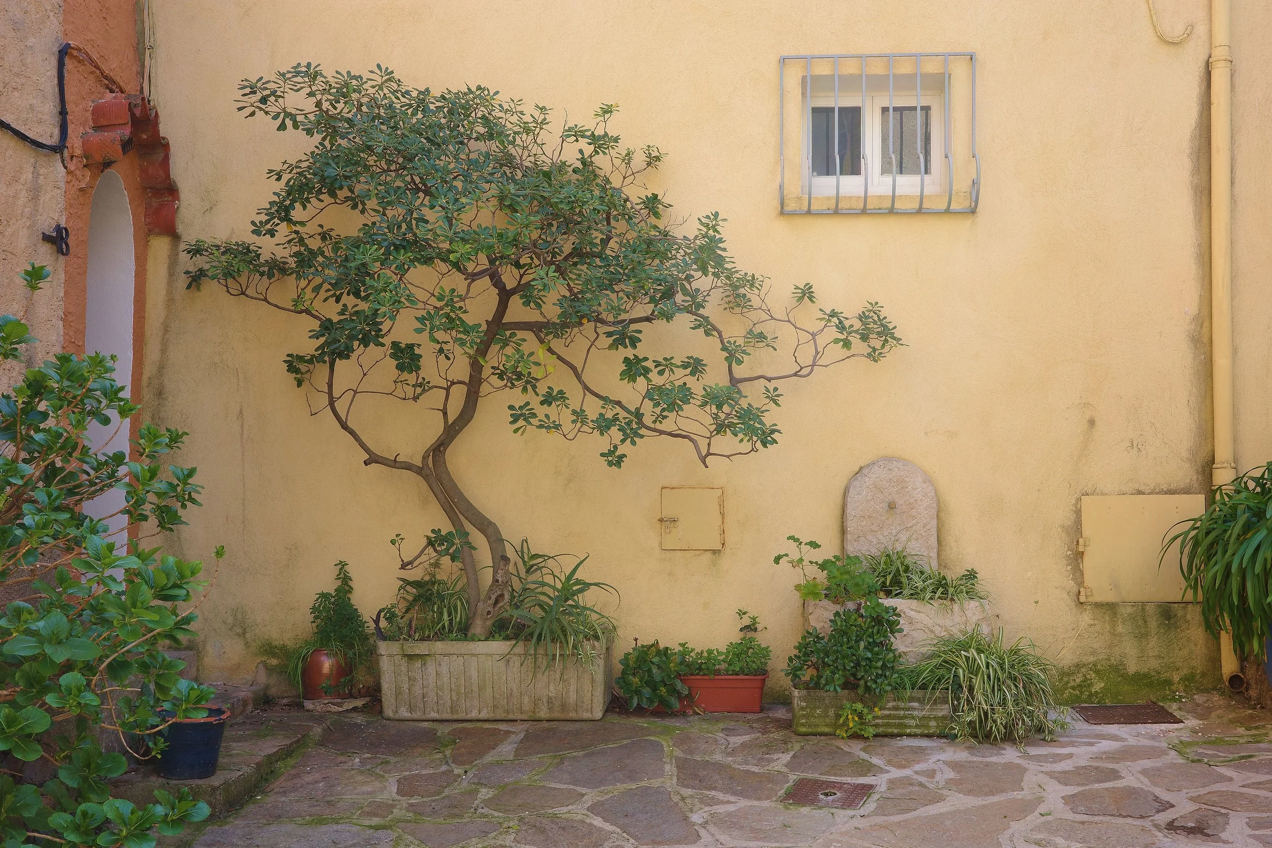 R0002109_RICOH IMAGING COMPANY, LTD._20-03-26_WEB.jpg