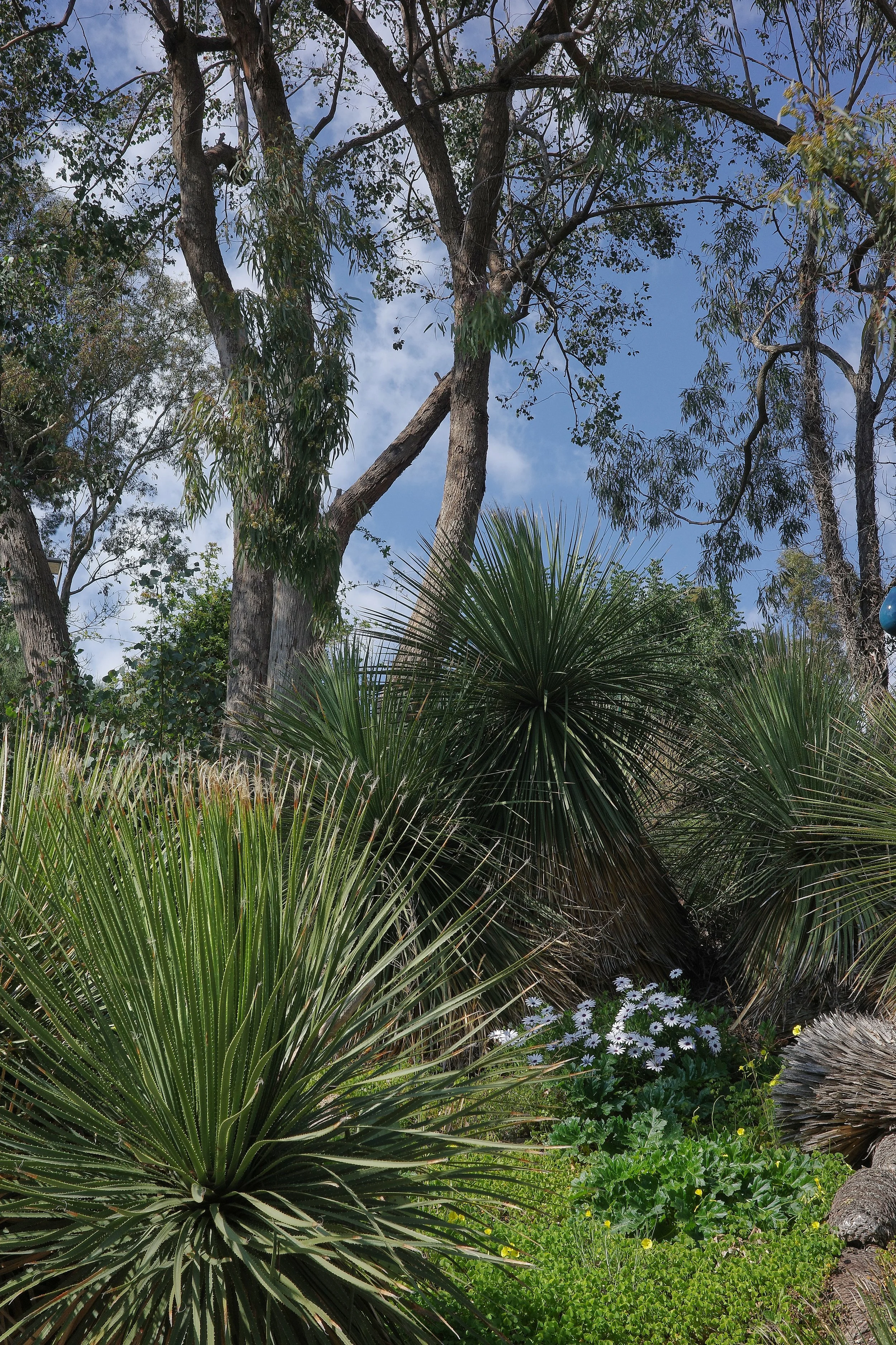 R0002085_RICOH IMAGING COMPANY, LTD._20-03-26_WEB.jpg