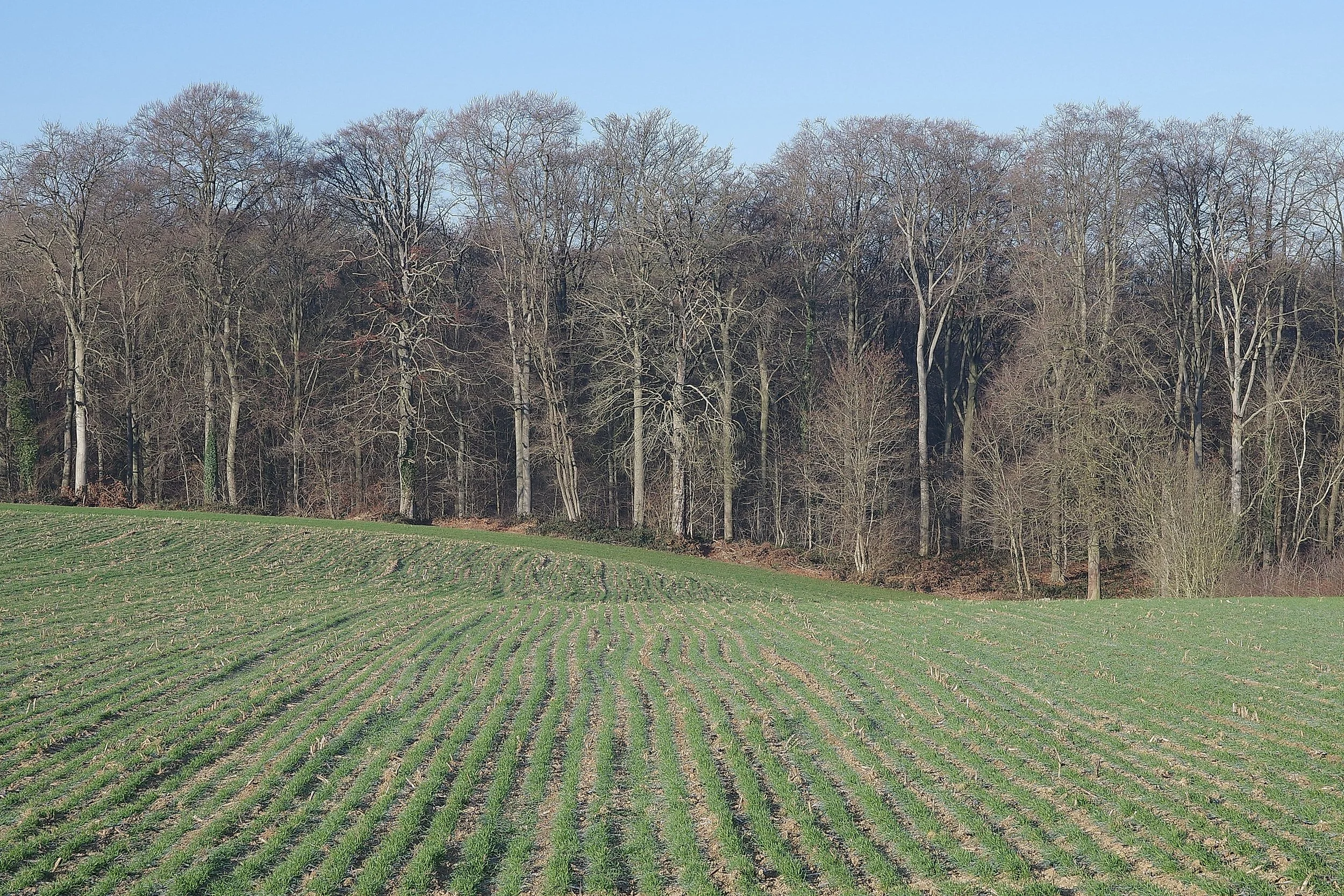 R0001621_RICOH IMAGING COMPANY, LTD._26-12-25_WEB.jpg