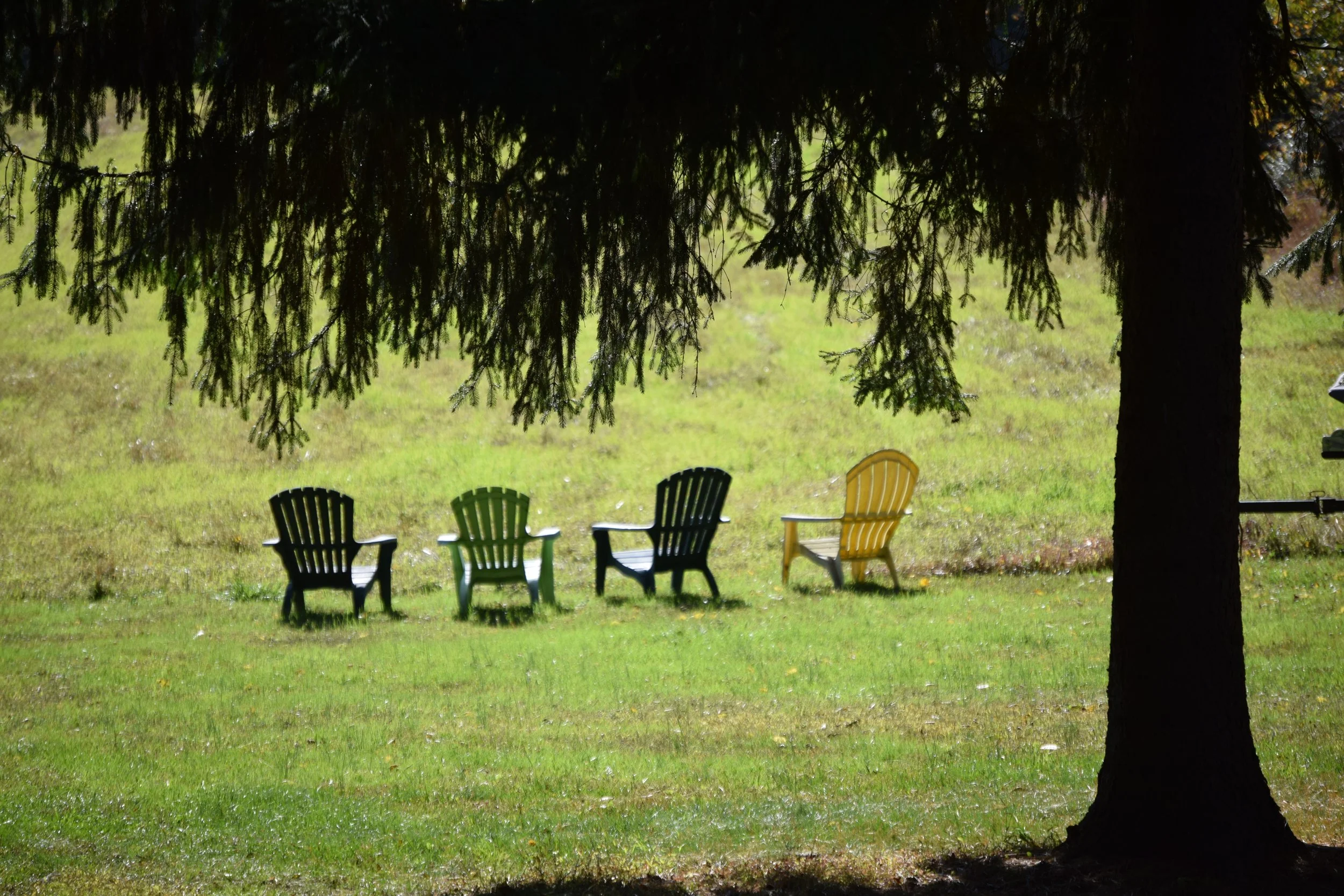 Waiting for the sunset