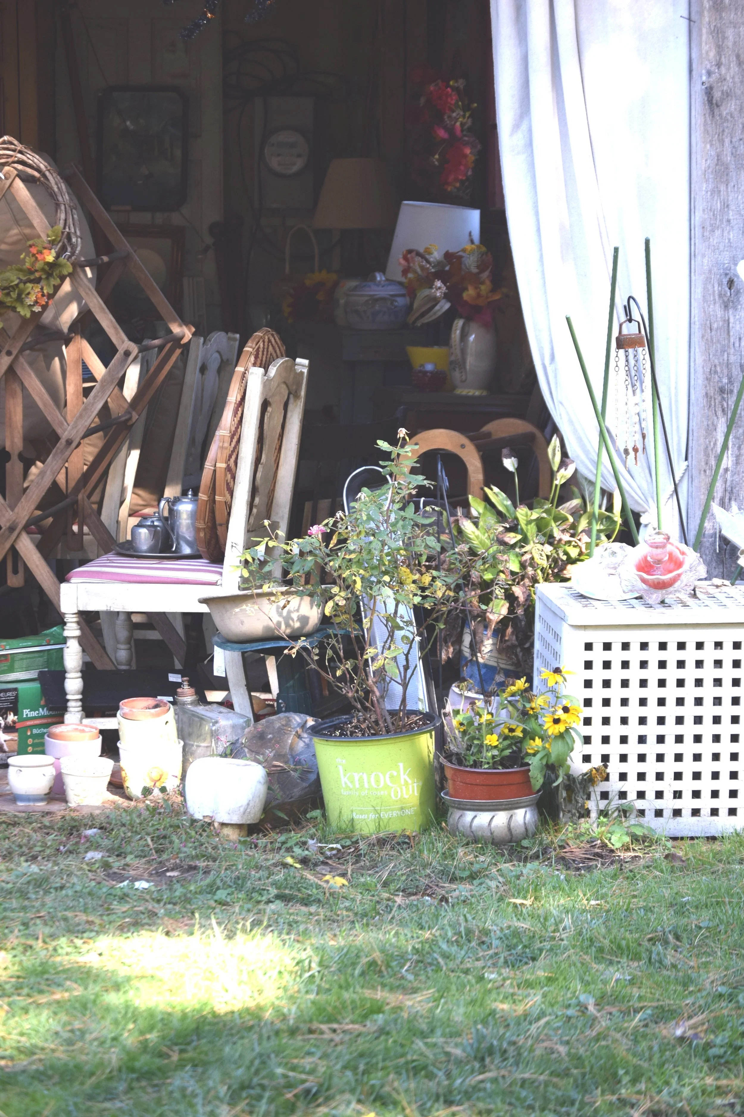 Back of the Blacksmith's Shop