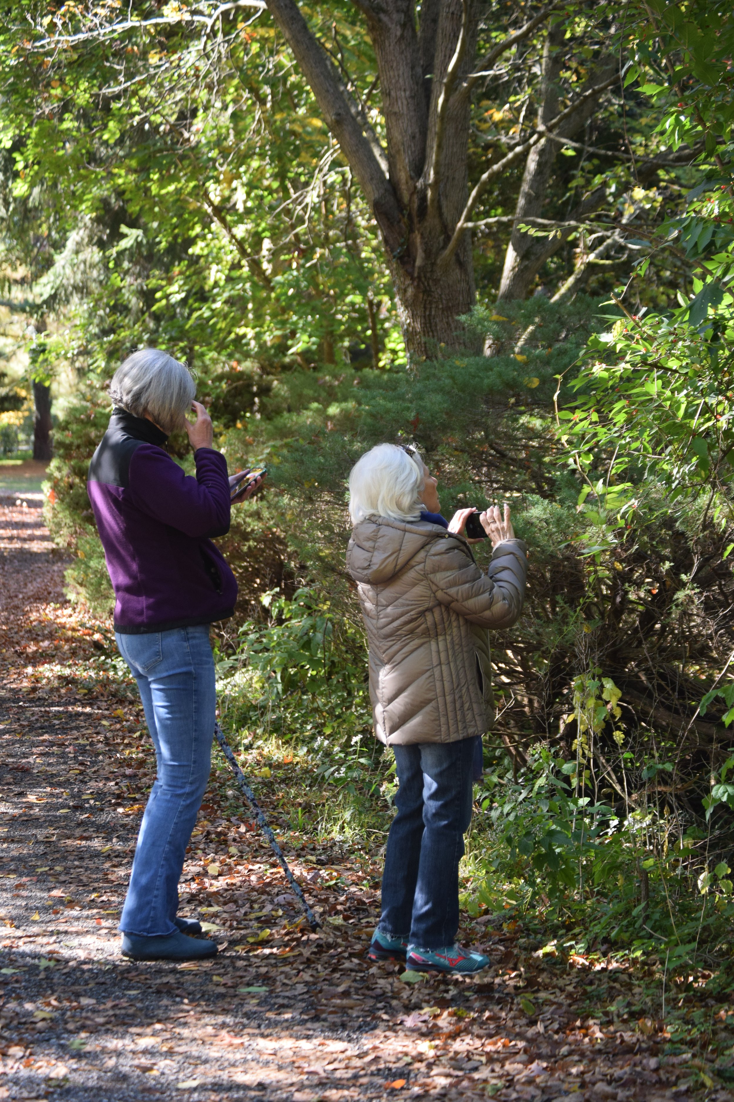 What shall we paint!