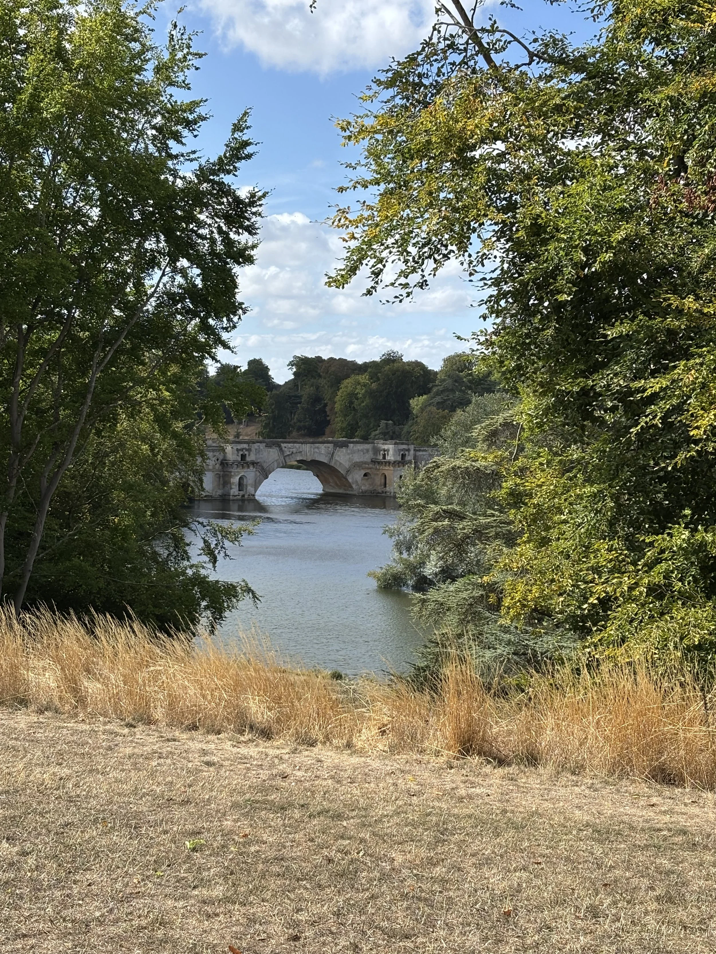 IMG_7541.jpeg