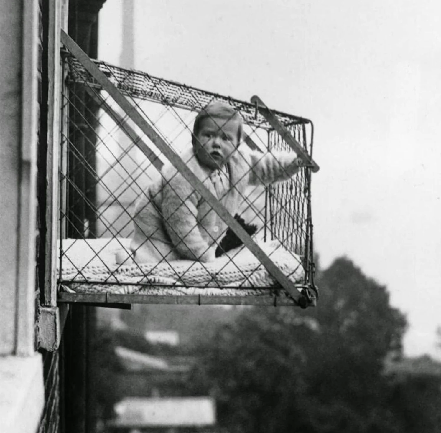 Baby Cage 736 KB.jpg