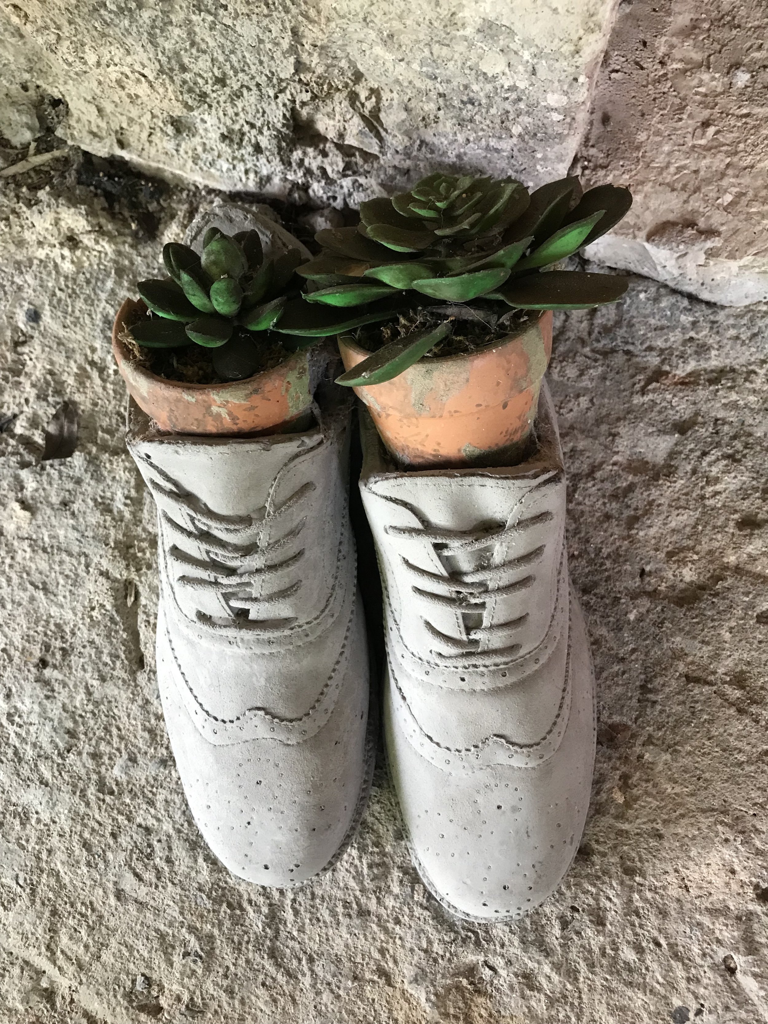 Succulent shoes 4.2 MB (AH).jpg