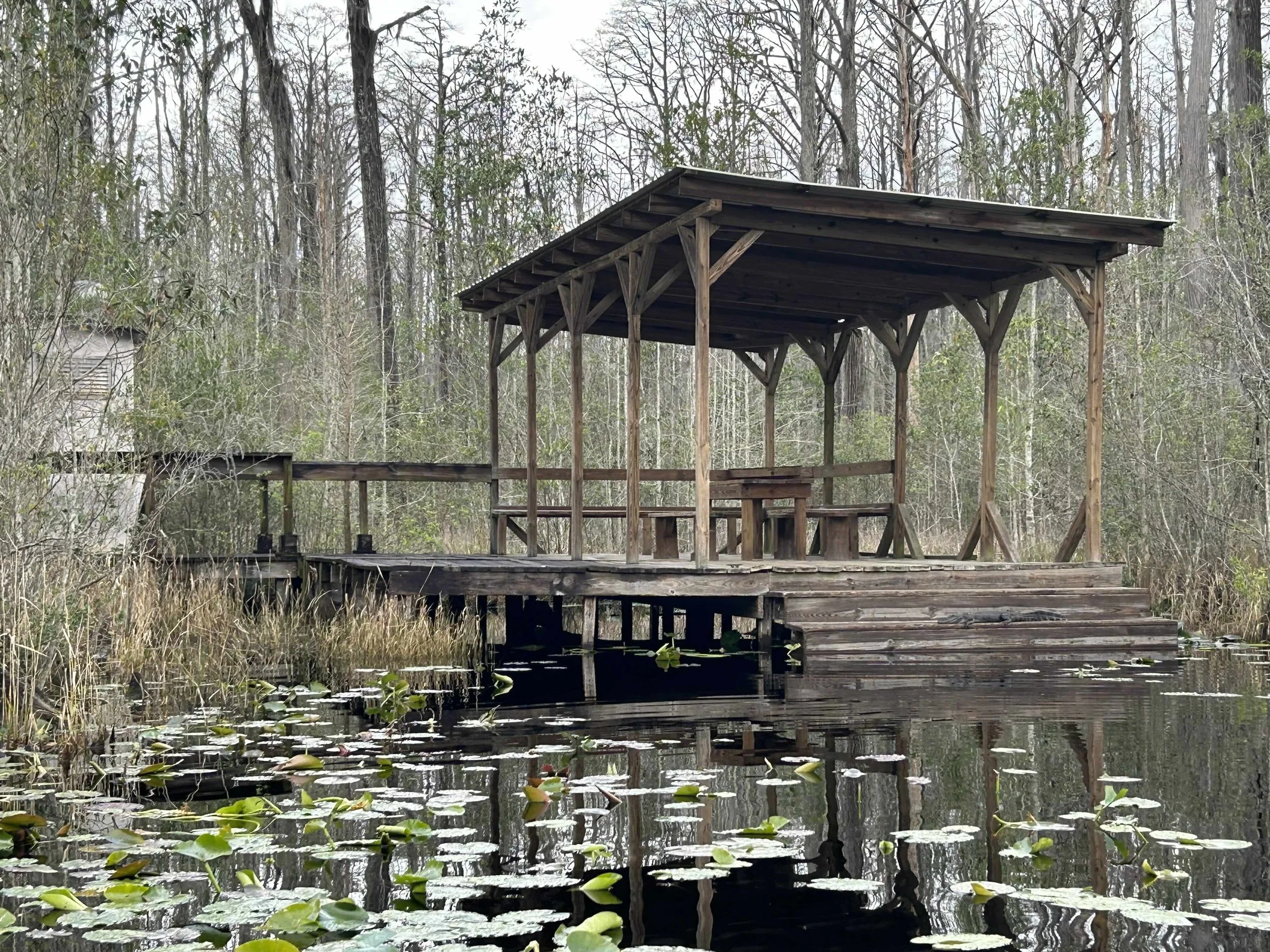 Walter Parks Swamp Shed 1.3 MB (Walter premission).jpg