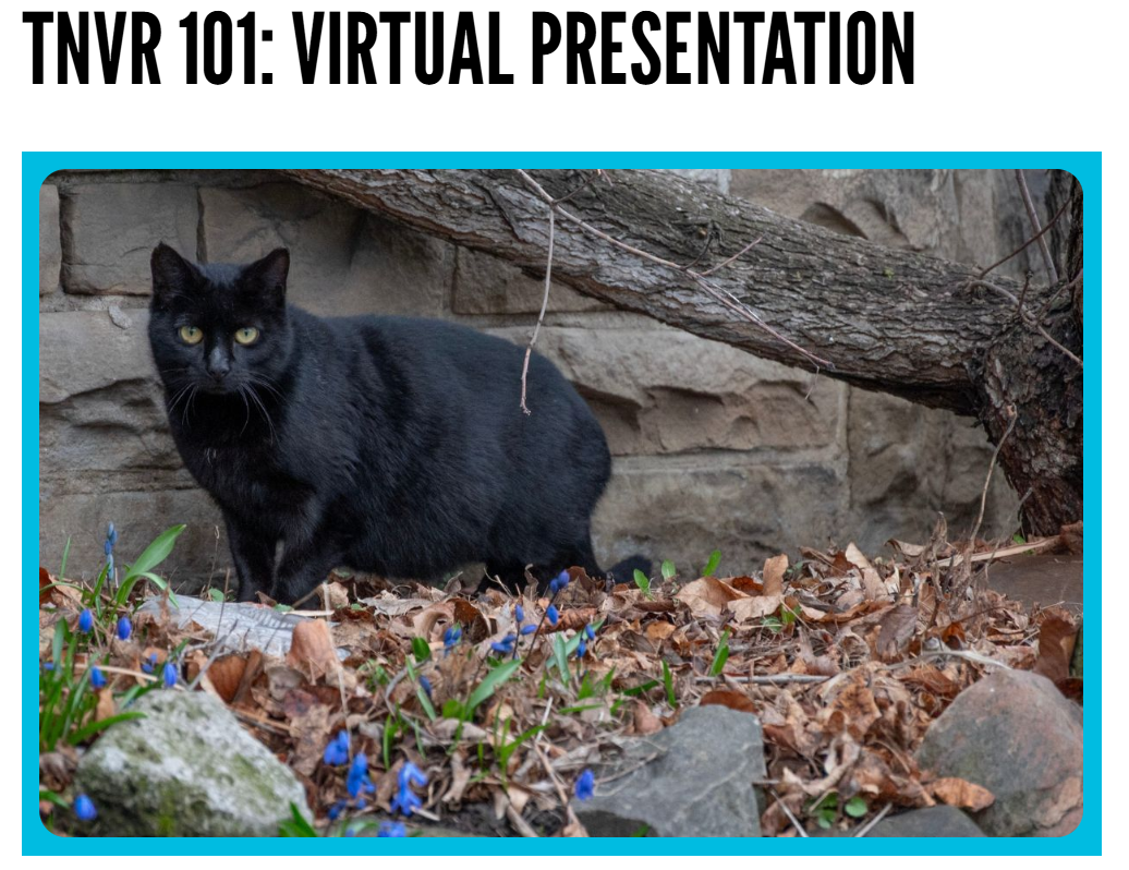 TNVR 101: Virtual Presentation