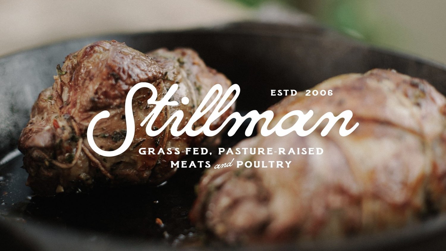 Stillman Quality Meats — Taylor Penton