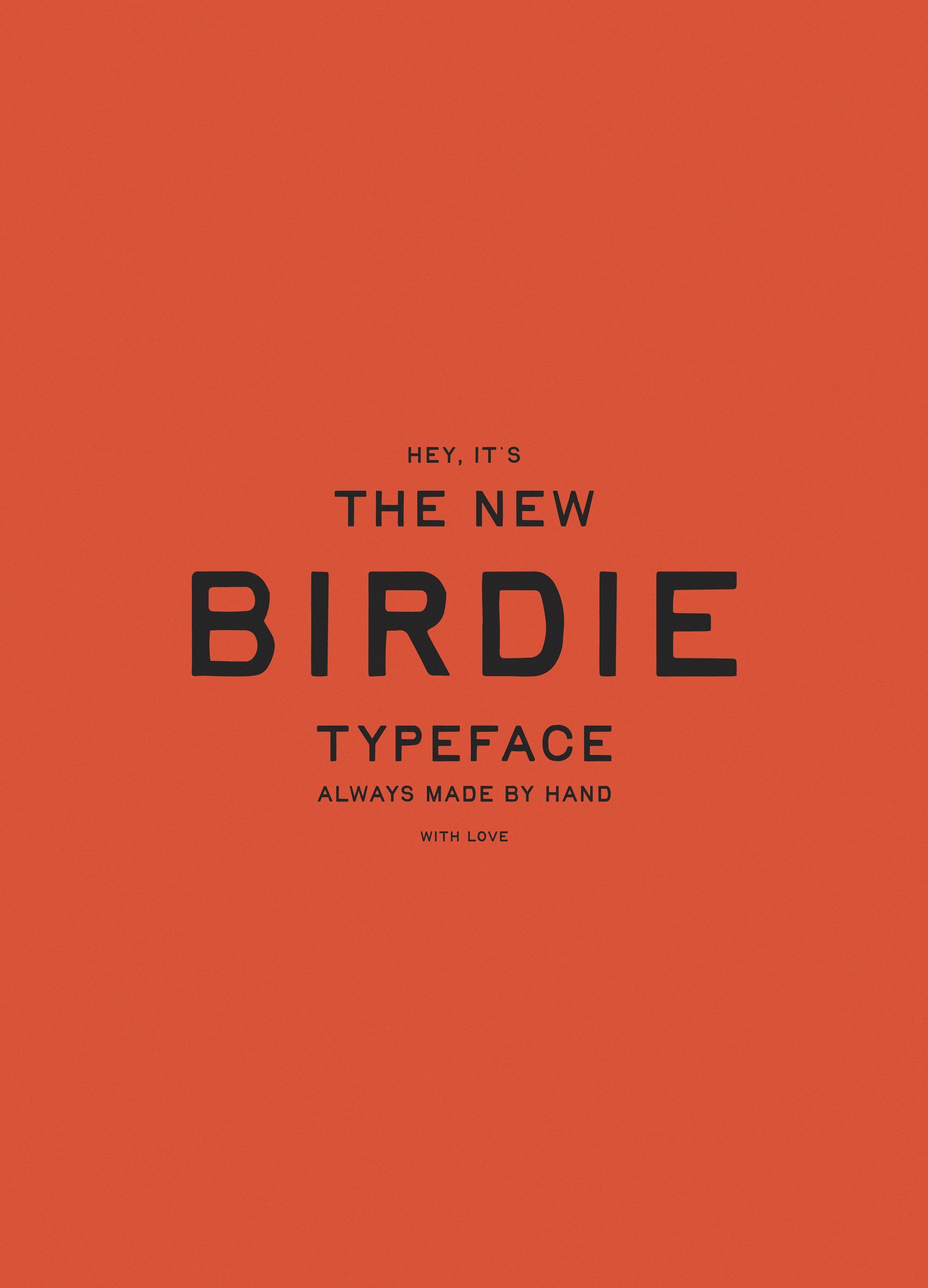Birdie03.jpg