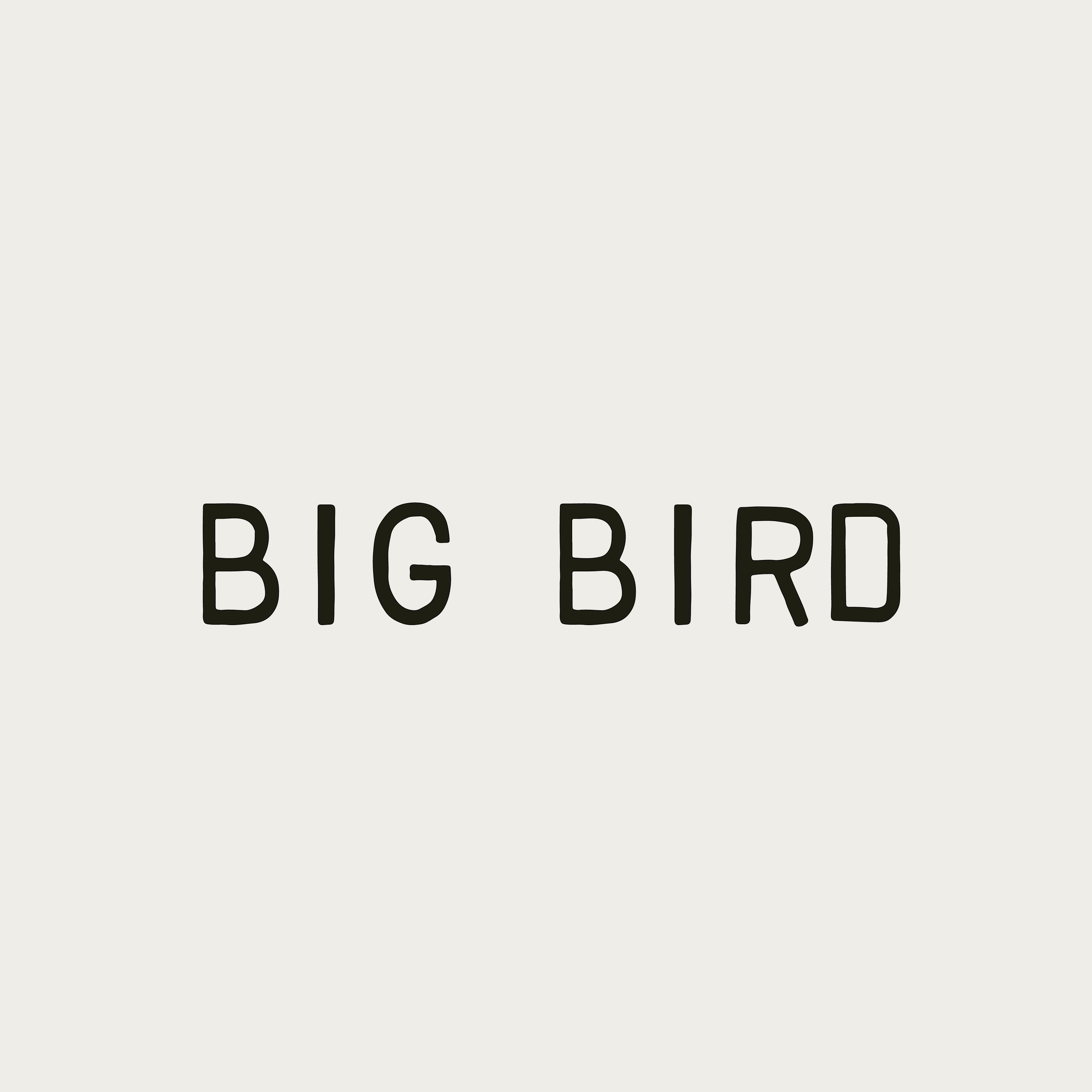 Big-Bird05.jpg