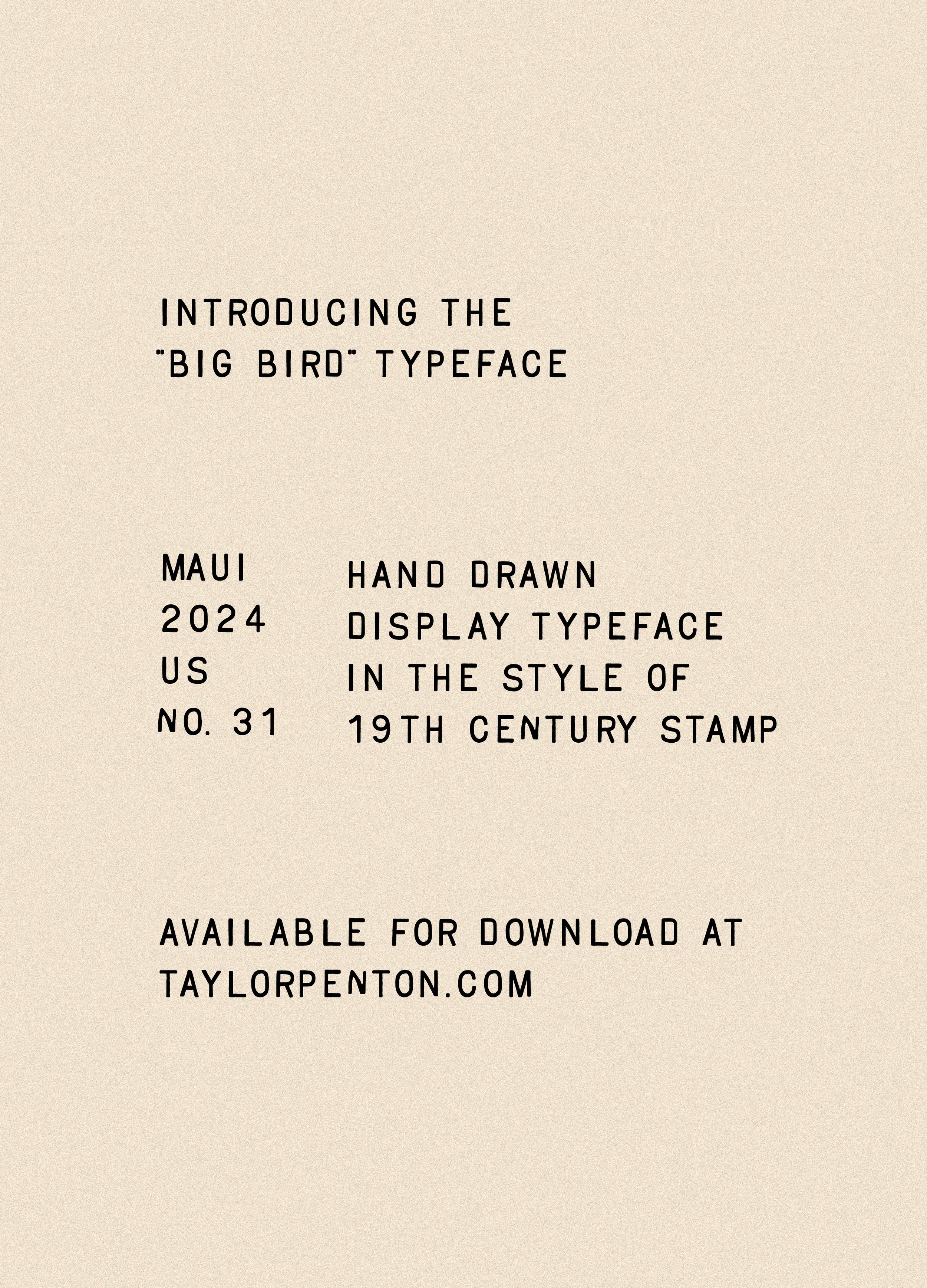 Big-Bird02-2.jpg