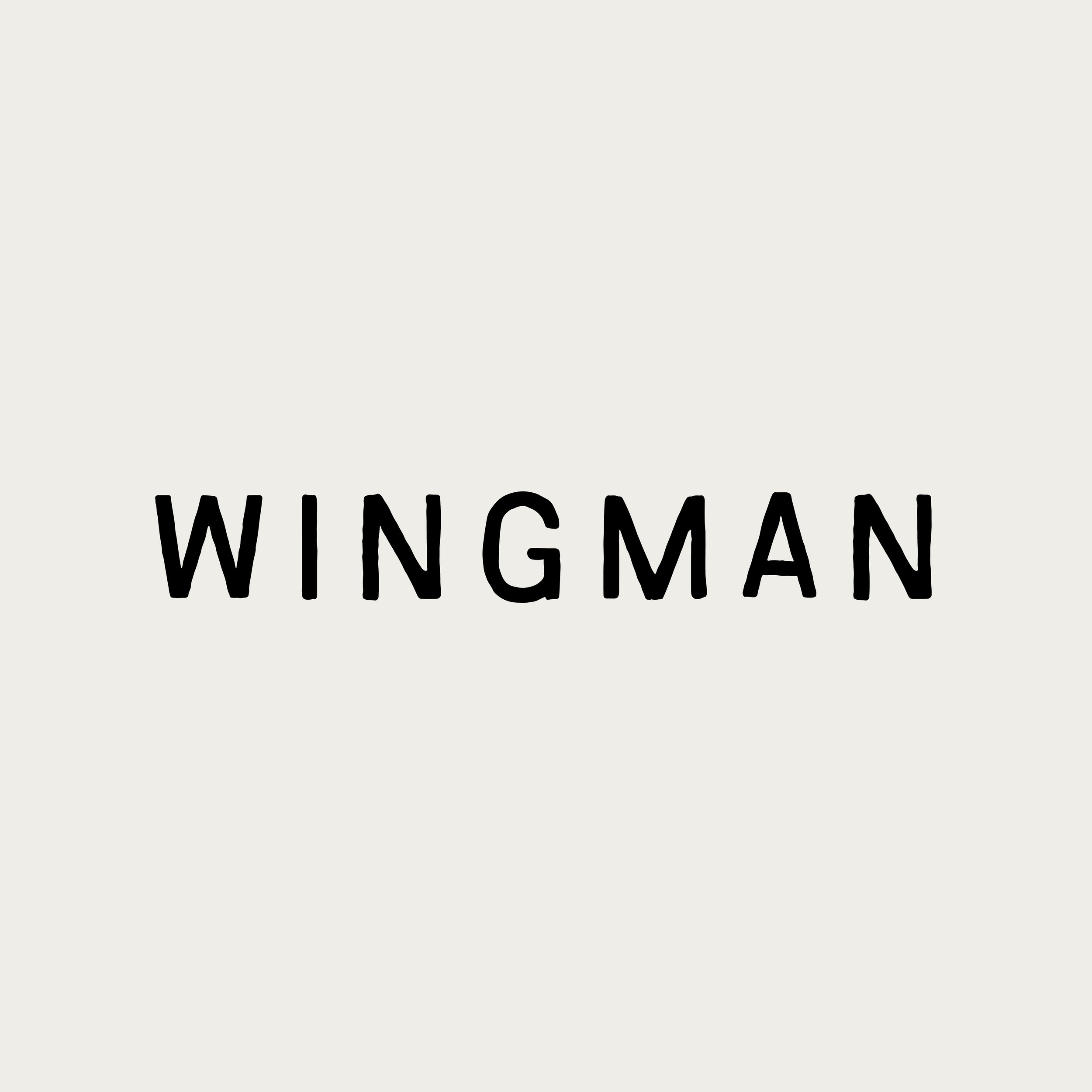 Wingman001.jpg