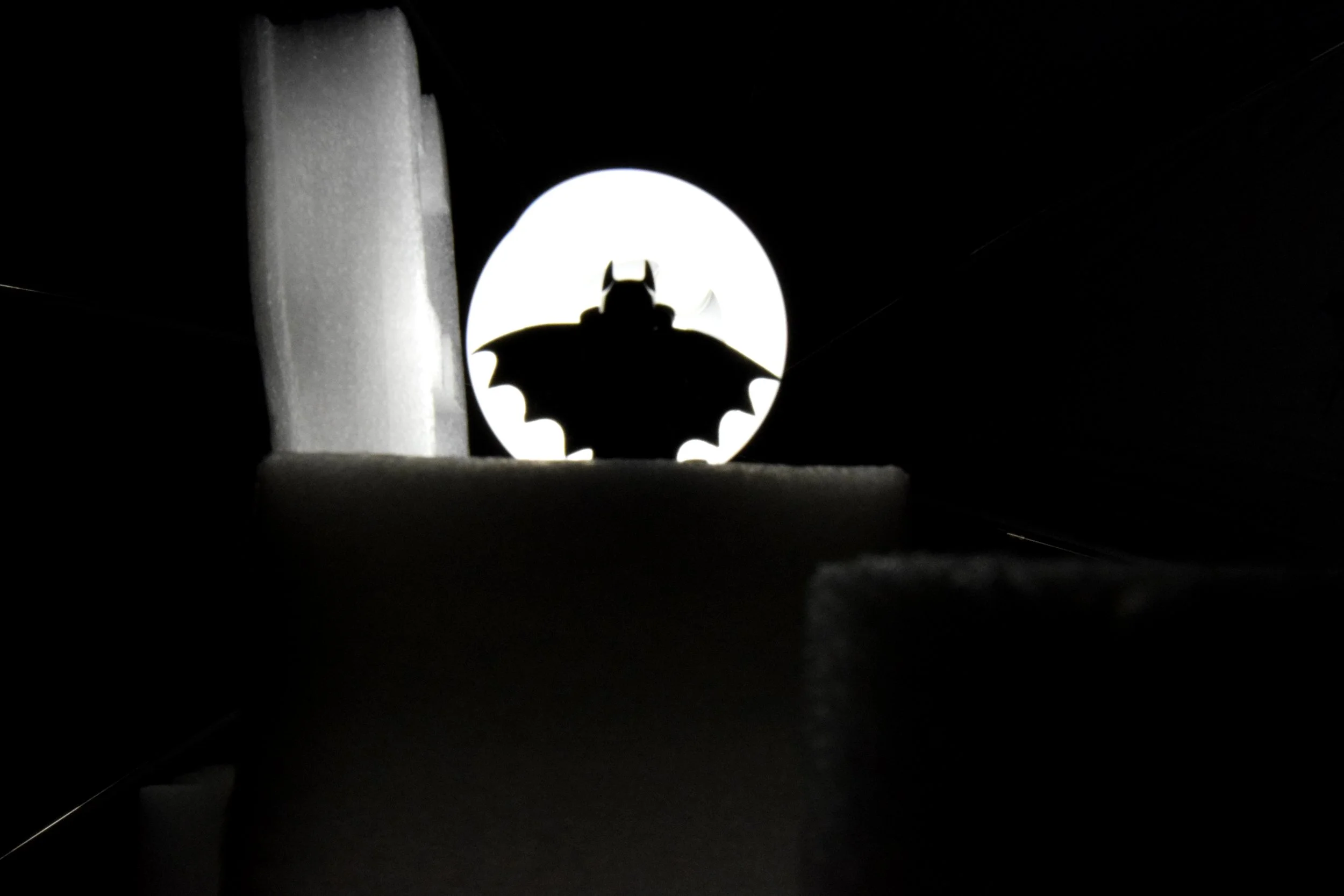 McKnight_Focus_06.jpg