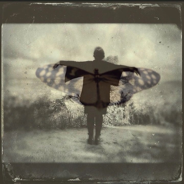 On healing&hellip;

&ldquo;The work of transformation that is about unwinding and uprooting the old traumatic stories to make way for new realities that are more congruent and integrous with who we are and what we care about.&rdquo;

Staci K Haines i
