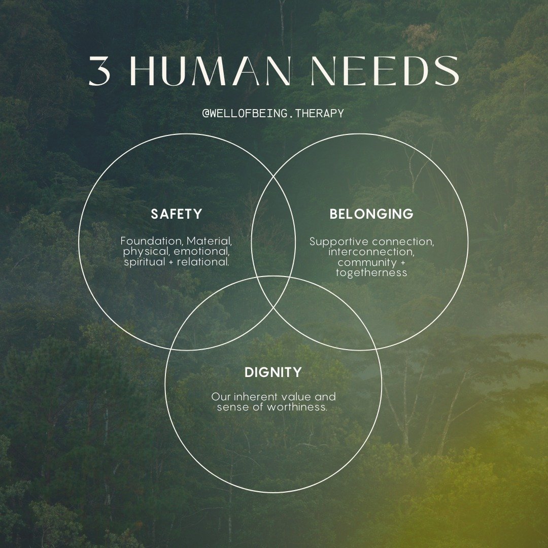 3 Essential Human Needs That When Met Enable Us to Be Our Best ✨

⋒ Safety
Foundation. Physical and material needs. Agency. Emotional, spiritual and relational safety.

⋒ Belonging
Sense of supportive connection, interconnection, community and togeth