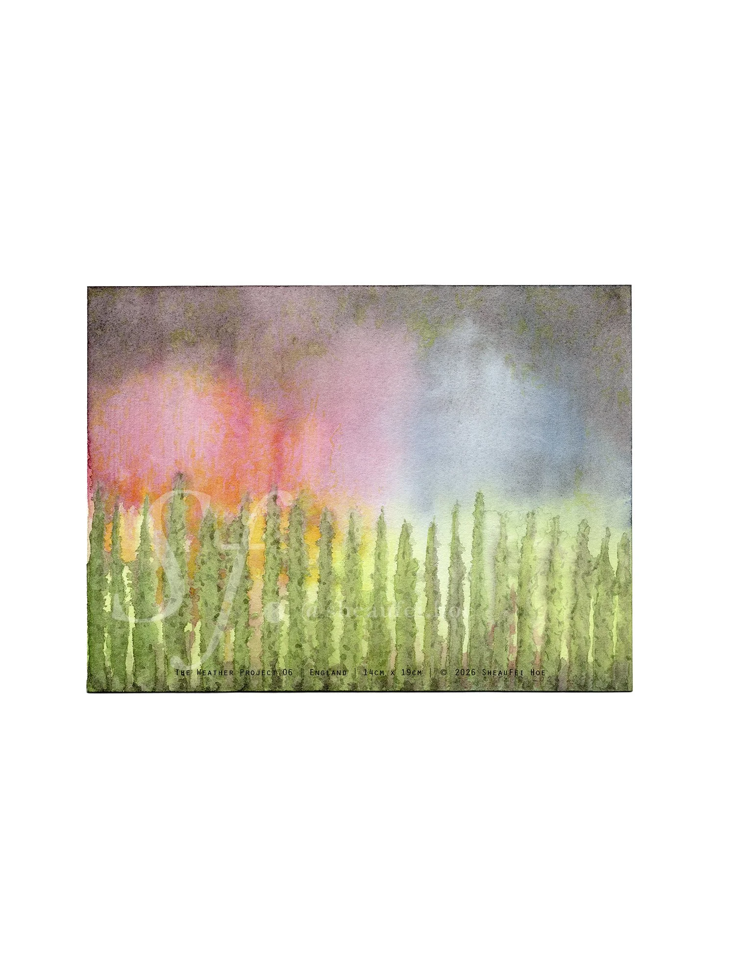WP06_W_PRINT.jpg