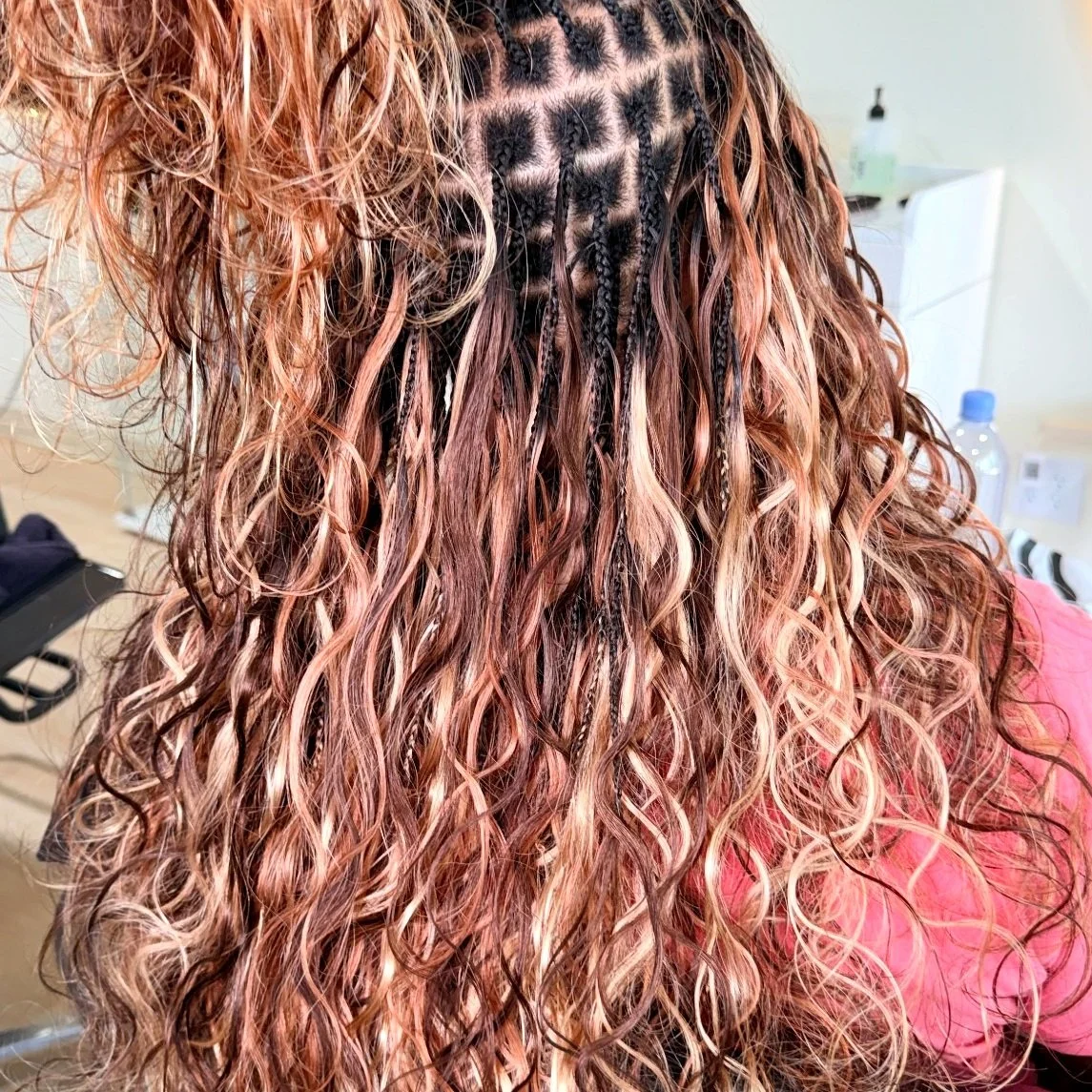Brown and copper Ombre Mix Miracle Knots with curly human hair and visible braid foundation at Legacy Braids in McKinney, TX