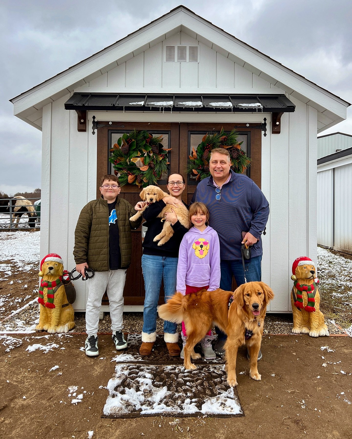 To my final 4 families&mdash; welcome to my Roberds Farm Golden Retriever Family! 24 puppies was a whirlwind&mdash; thank you for being so patient with me as the last 4 pups in this crazy season of life!! One family has been waiting over a year for a