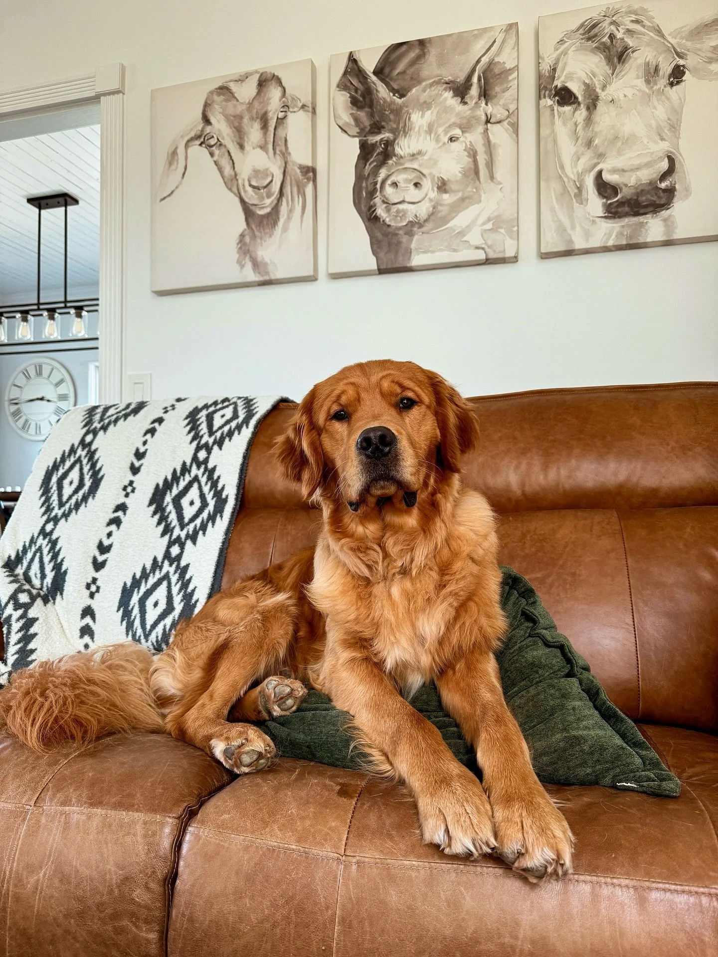 Hi Roberds Farm Fam! Milo, Brimsley and I wanted to check in with you all as Fall is coming more into focus with July ending… I can’t even believe it— this summer has been flying by! This Spring and Summer have been so life-giving