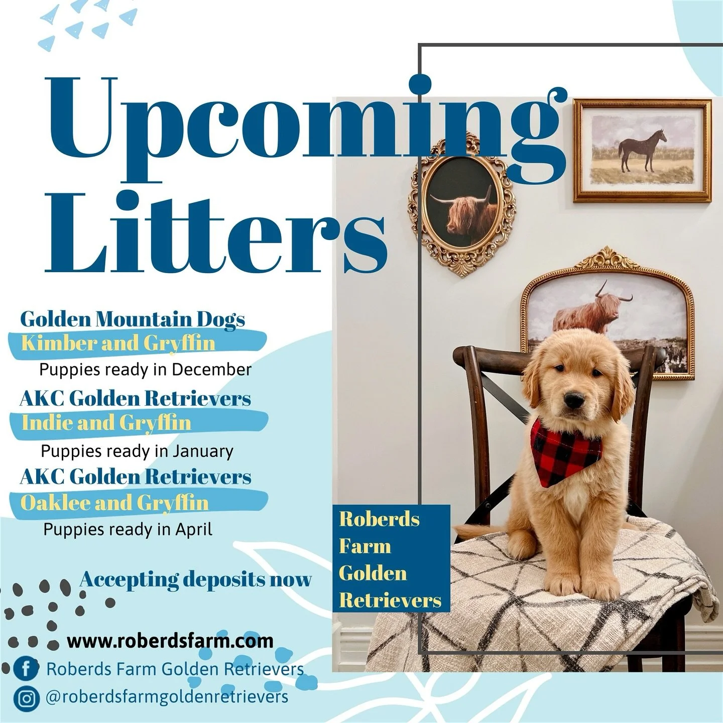 To get on the waiting list, please text your answered questionnaire to me, Ashleigh, at 517-896-0610. If you are a great fit for a puppy of mine, we will move forward with you placing a $500 nonrefundable deposit (via Venmo or PayPal) to hold your sp