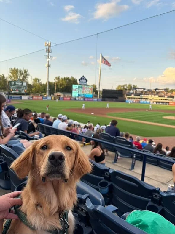 Finch says, &ldquo;Am I prettier when I smile with my teef?&rdquo; 🤩&hearts;️ Couldn&rsquo;t love this cute boy more!! Thanks for sharing, Ella! [Friends Litter | Oaklee x Gryffin]