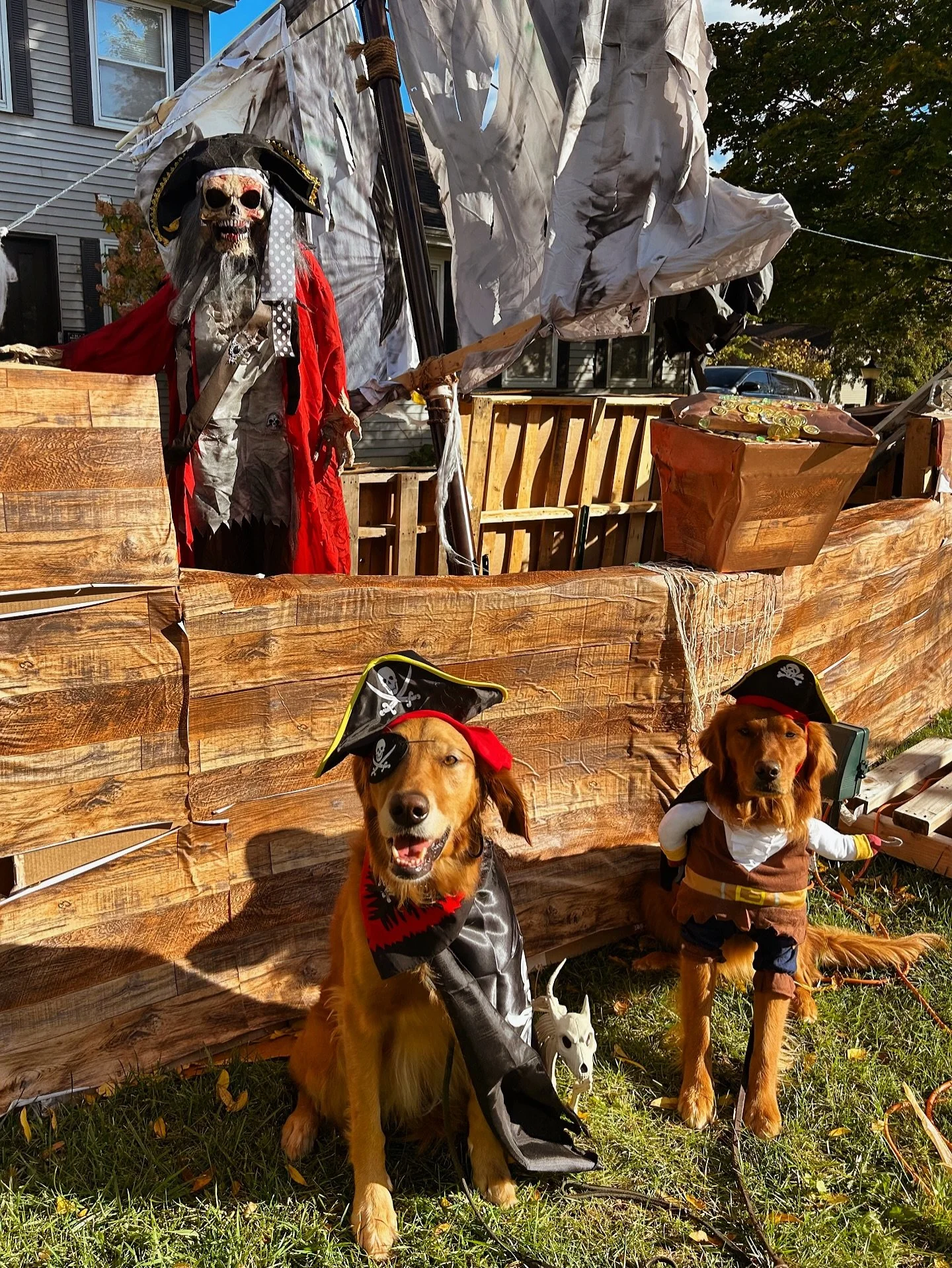 Happy Halloween from Emmie and Maisie!!! They just won first place with @chowhoundpet and won a sizable gift card 🤩 Great job, girls! You look awesome!! Happy Halloween everyone! Would love to see your dressed up Roberds Farm pups in the comments on