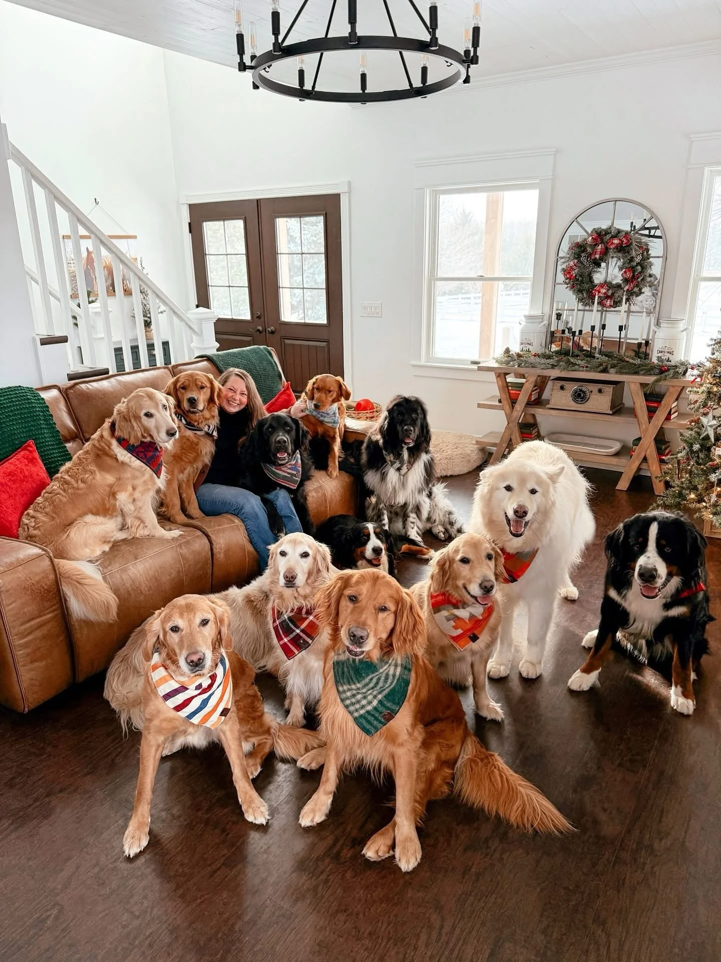 Today is my birthday and if you&rsquo;ve been here for a few years you know one of the highlights of this day for me is asking y&rsquo;all to share photos of your Roberds Farm pups 🥰 Please head to Facebook and fill the comments with photos of your 