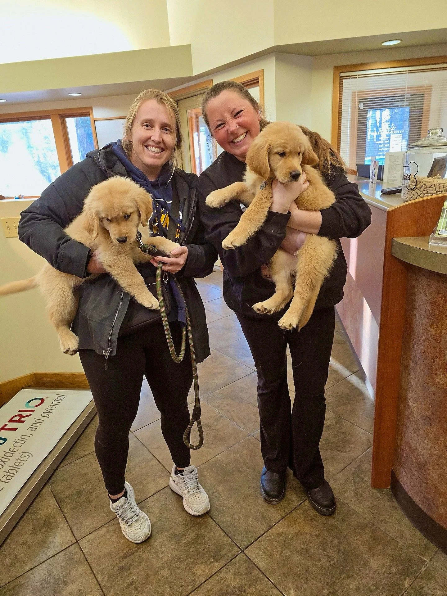 The cutest reunion happened at the vet on Tuesday when Sawyer ran into her brother Maverick 🤩 They immediately remembered each other and loved wrestling! It was so good to see Mav and his parents again!! 🥰&hearts;️