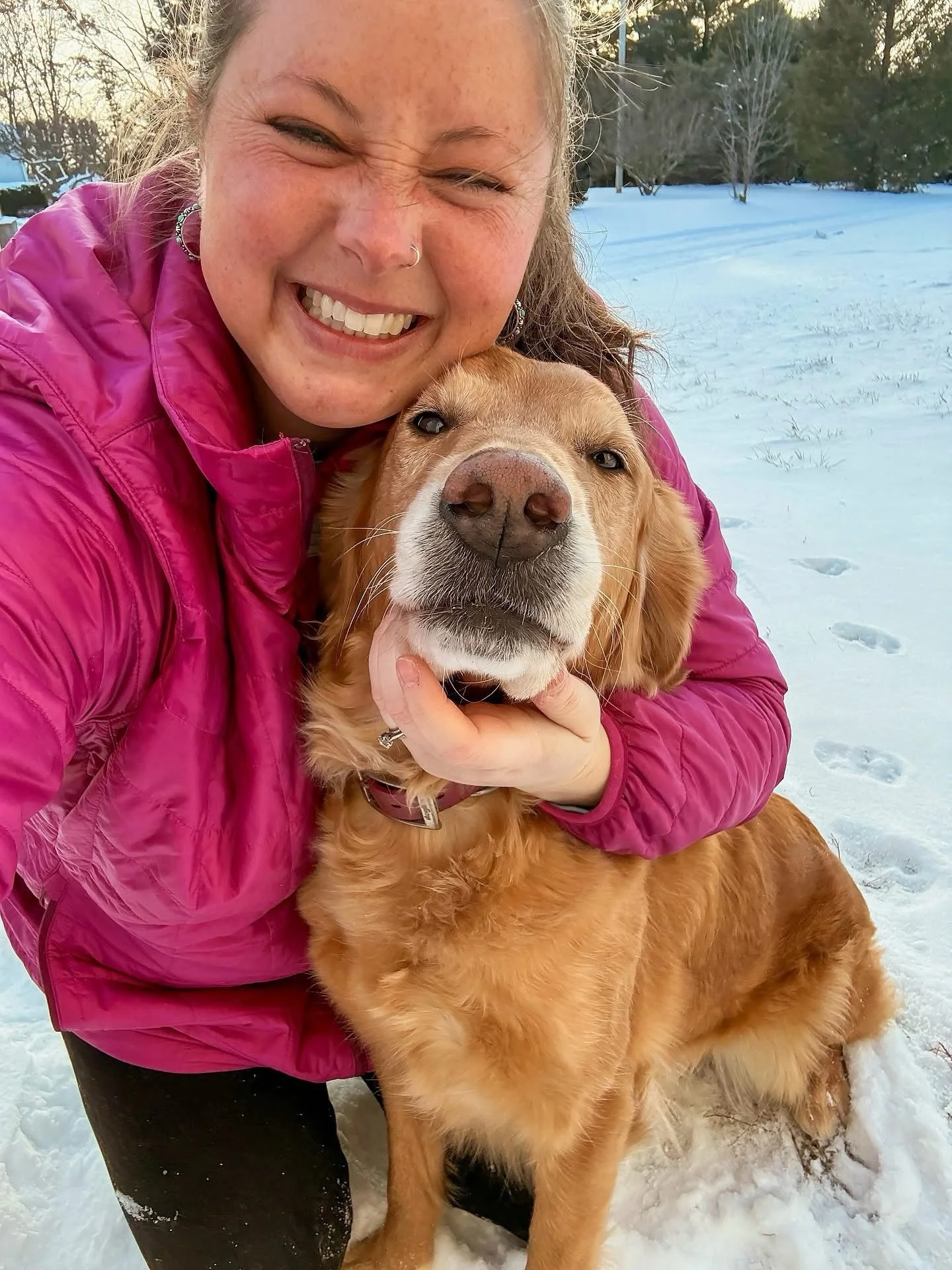 I am soooo excited to share that Oaklee is pregnant!!! Our vet saw cardiac activity on every puppy and everything looked great! It looked like a big litter&mdash; there were puppies everywhere!! 🤩 She saw 10 easily which usually means there will be 