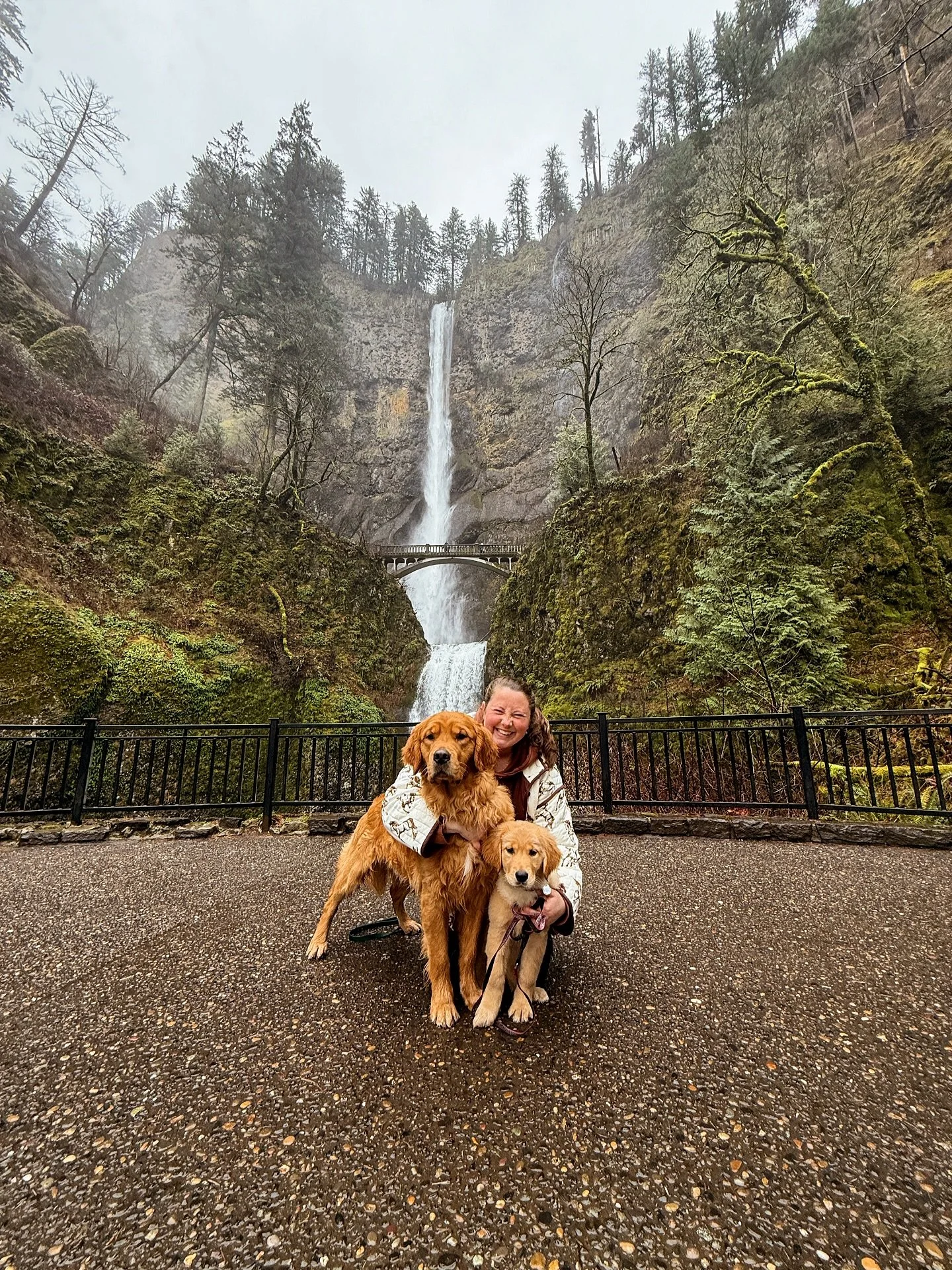 Out of office 🤩 I will respond to all emails, messages and texts in 2 weeks 🤍 Until then, Josh, Sawyer, Milo and me will be frolicking around the PNW &mdash; my happy place 🥰