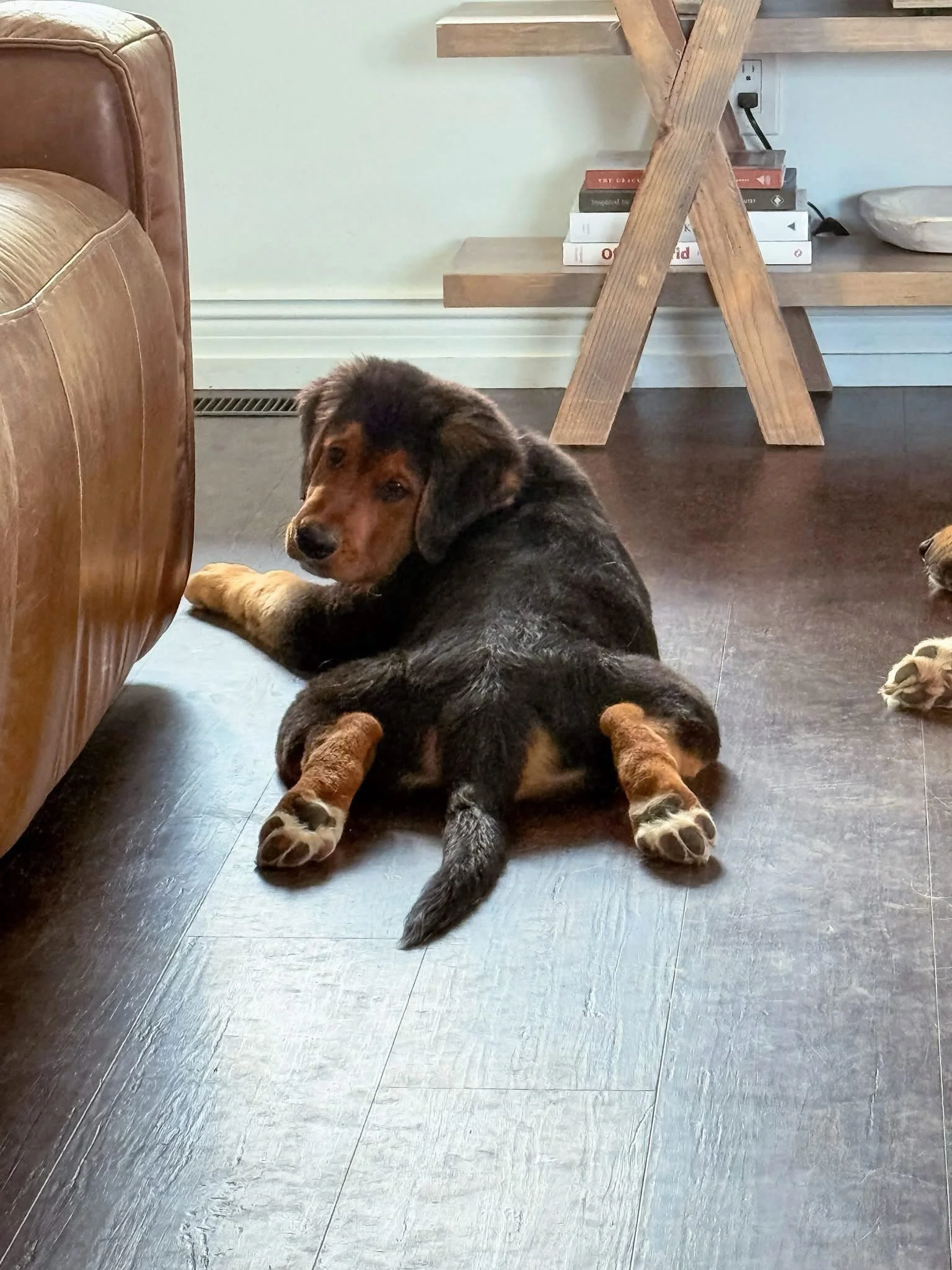 Same same but different 😆 Stetson 🤎 [Off Campus Litter | Harlowe and Brimsley]