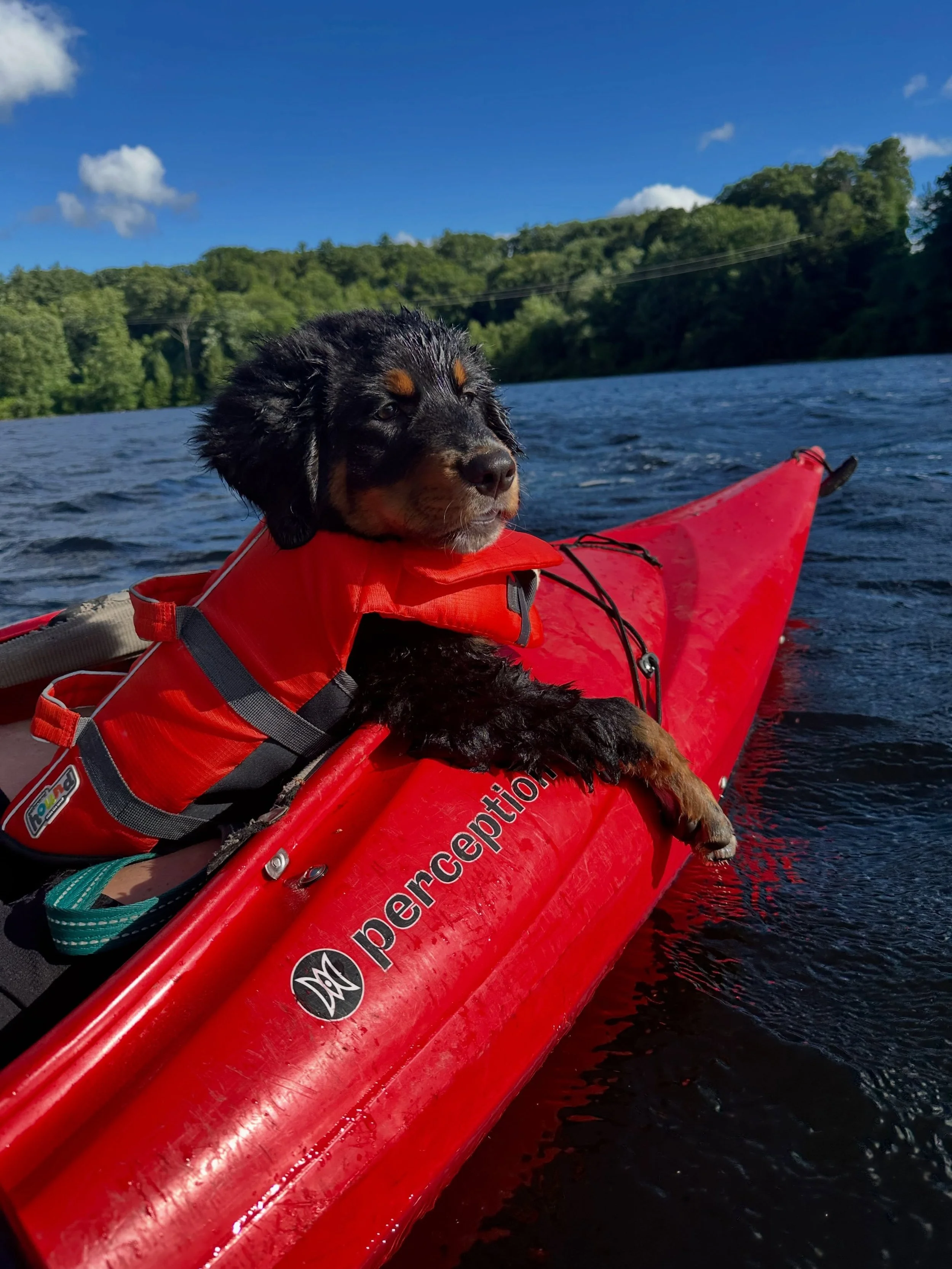 Text updates that mean the absolute world to me 🥲 Look at Raya living her best life 🤩 Nothing makes me happier than this&mdash; knowing they are loved and equipped to handle all of the adventures you want to take them on 🥹&hearts;️ Thank you for s