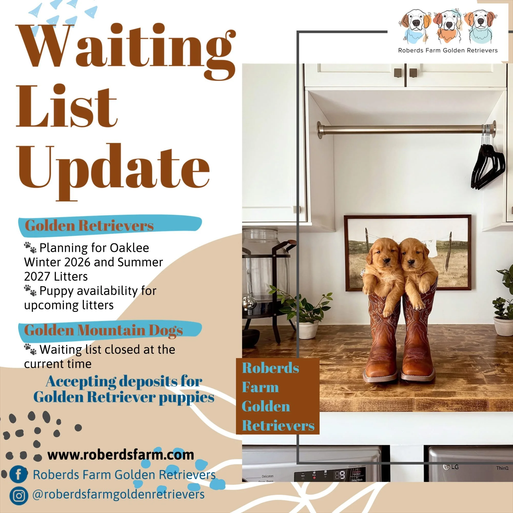 My waiting list for Golden Mountain Dogs is officially closed! Thank you all so so much for your interest in these special pups &hearts;️ My waiting list for AKC Golden Retrievers is open with room for Oaklee and Milo&rsquo;s litter I am expecting ar