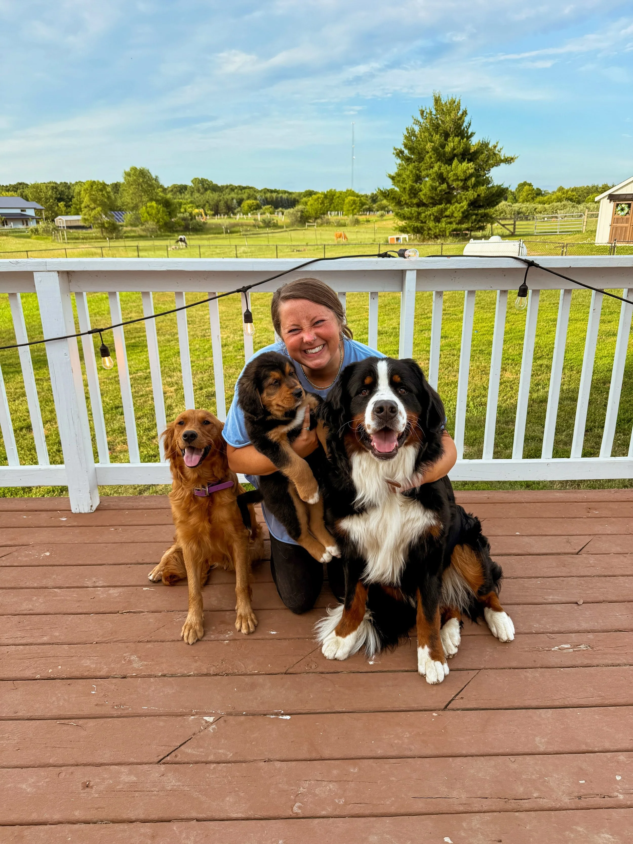 Harlowe and Brimsley&rsquo;s Off Campus Litter&rsquo;s forever people!!! This litter is forever special because it is a litter I&rsquo;ve dreamed of for years and they finally came true and exceeded all of my hopes!! And you all believed in the visio