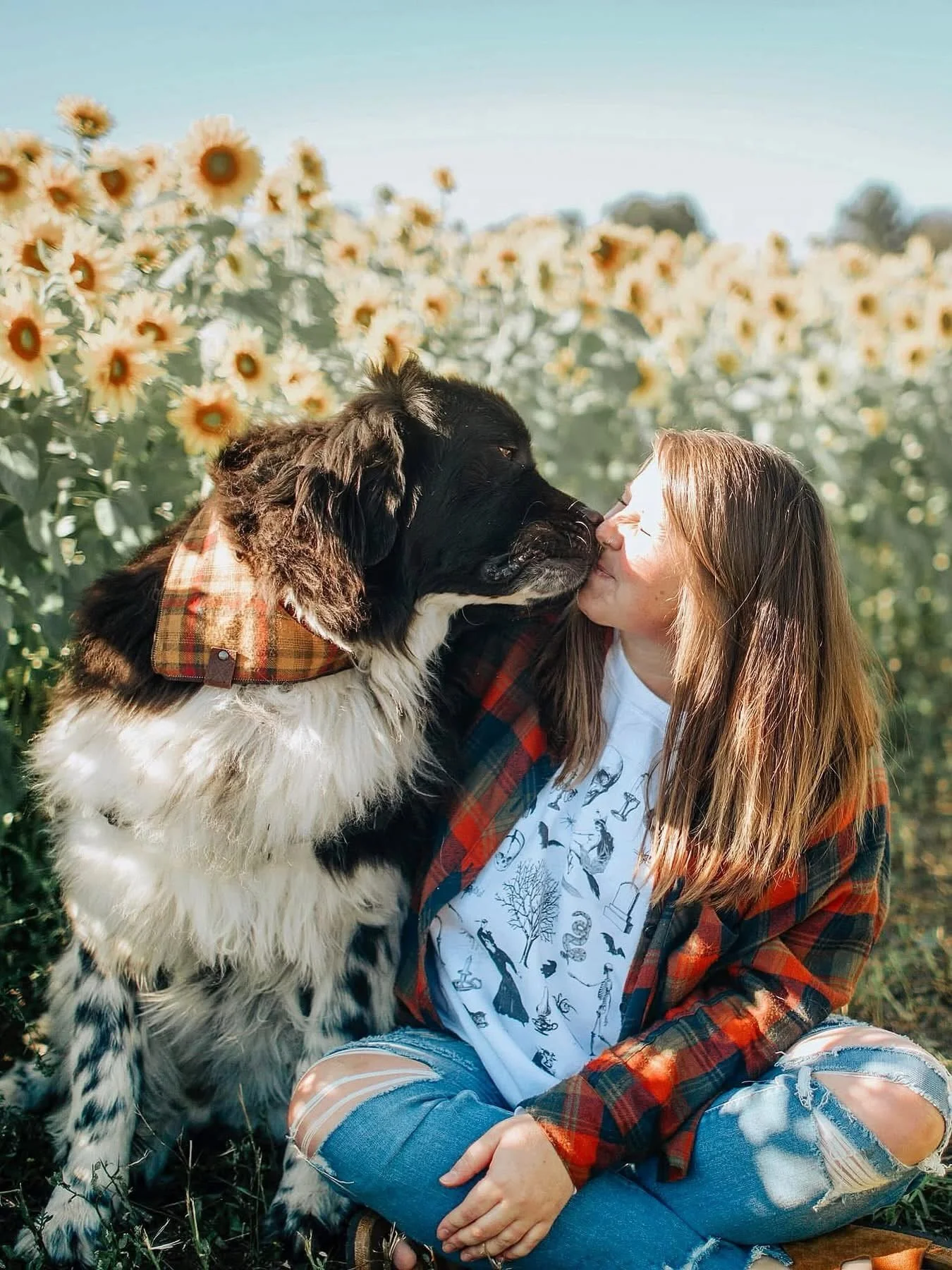 It&rsquo;s been the hardest year we&rsquo;ve ever had. We just had to say goodbye to our Moose this week&hellip; our third dog who has passed with cancer this year. It has absolutely broken our hearts and made it so hard to show up here. He was the b