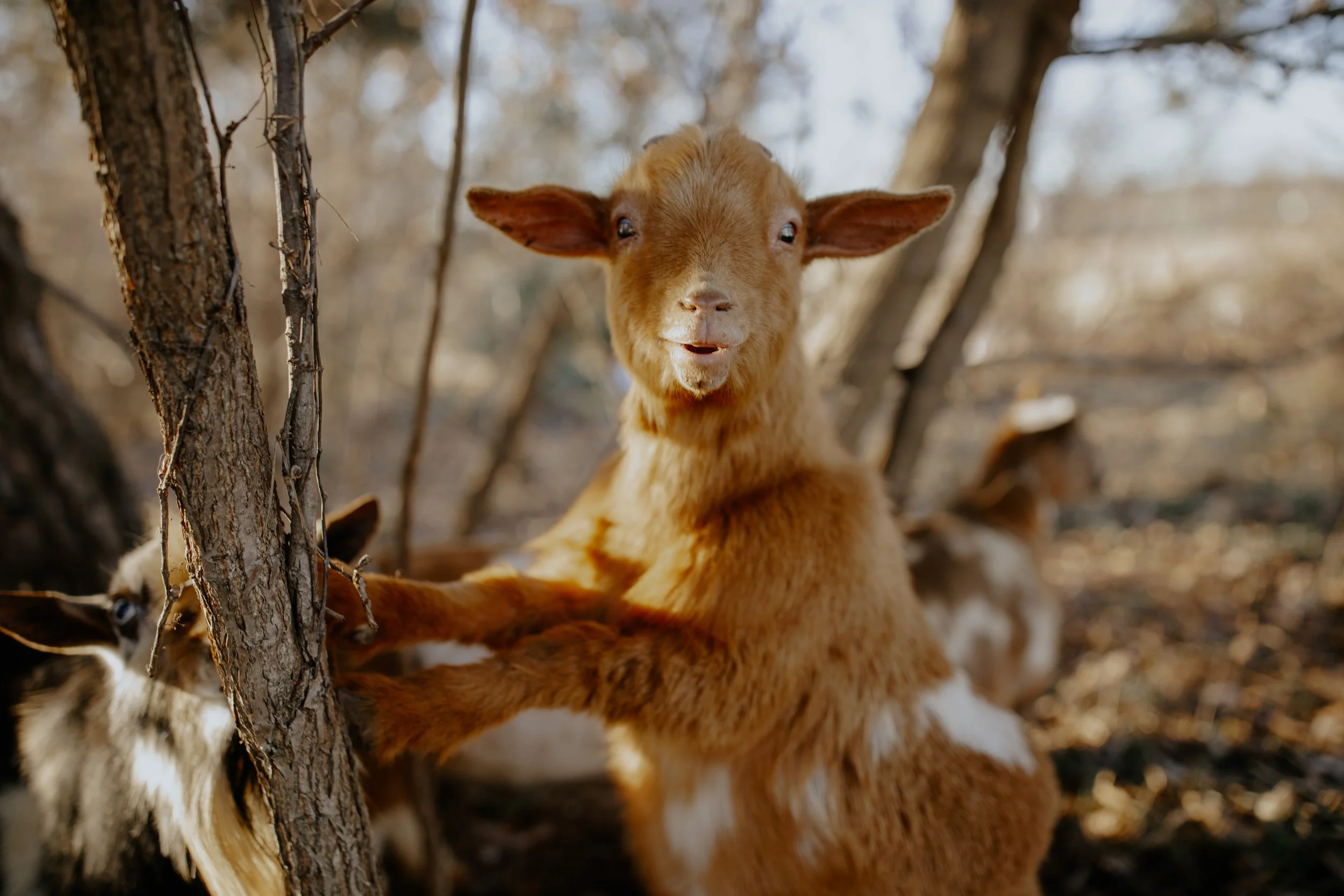 roberdsfarm2021-149.jpg