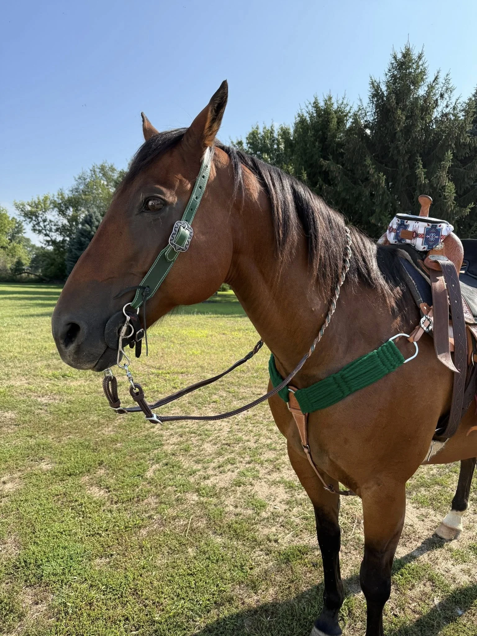 532226490_10230287889321948_2661220203429342071_n (1).jpg