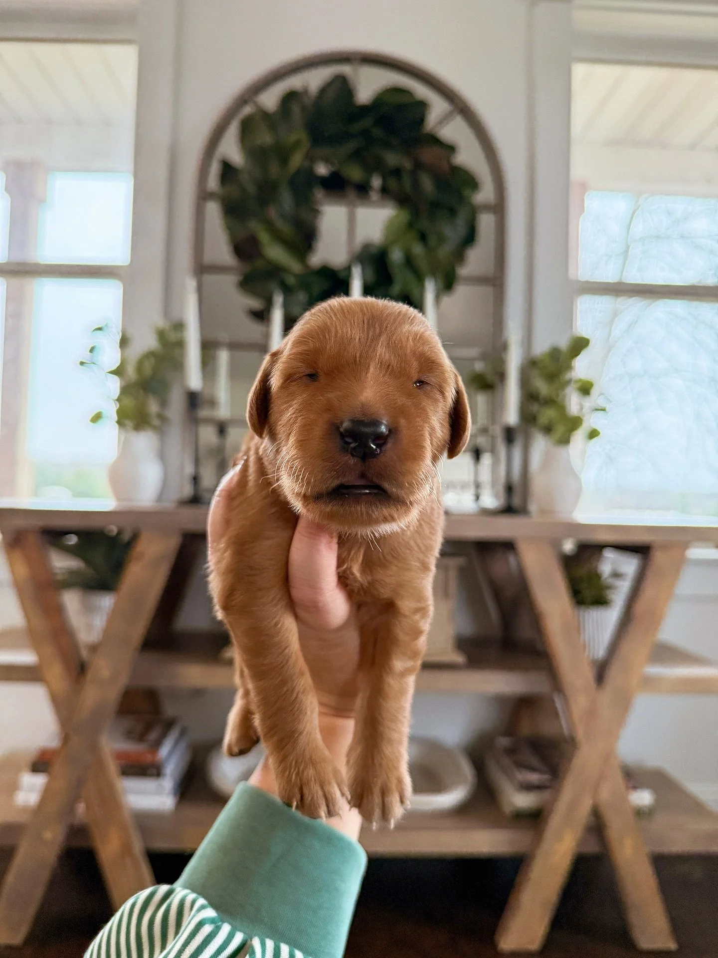 649235863_18046387196720761_1977086521178401887_n.jpg