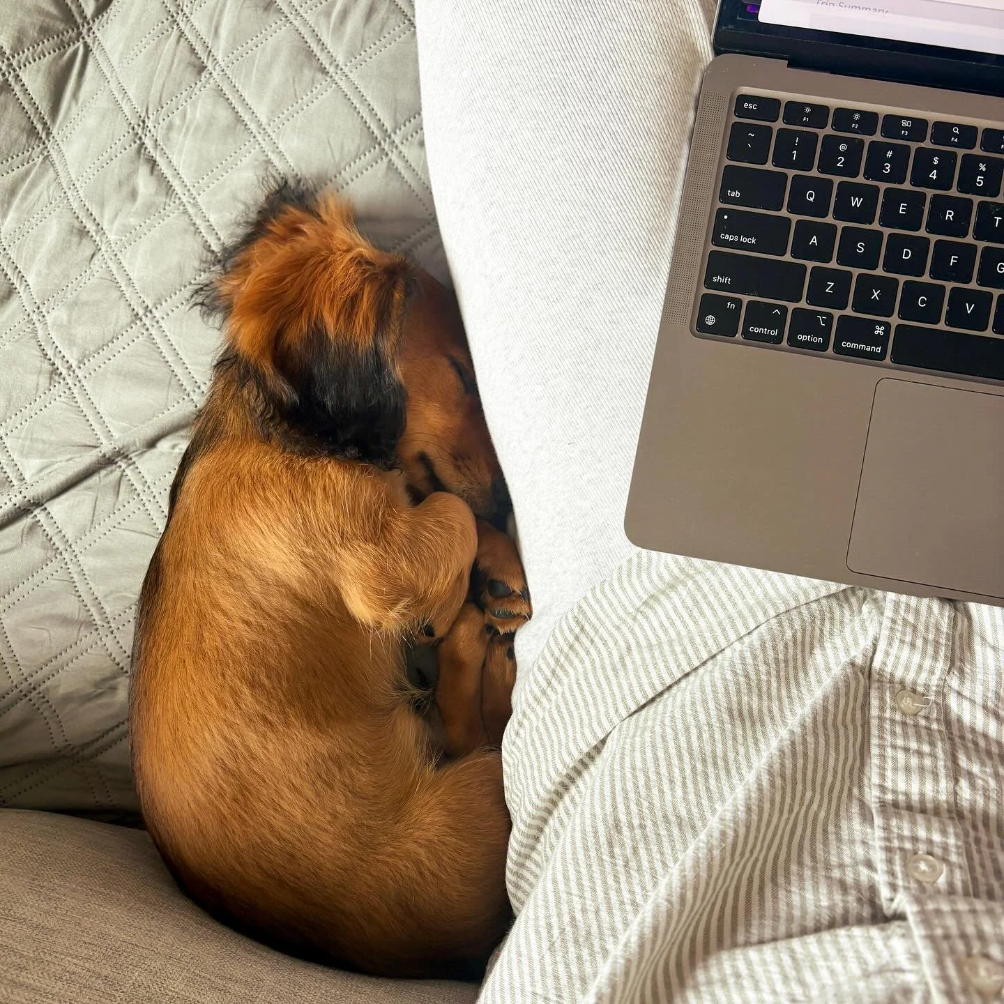 wfh-olesome