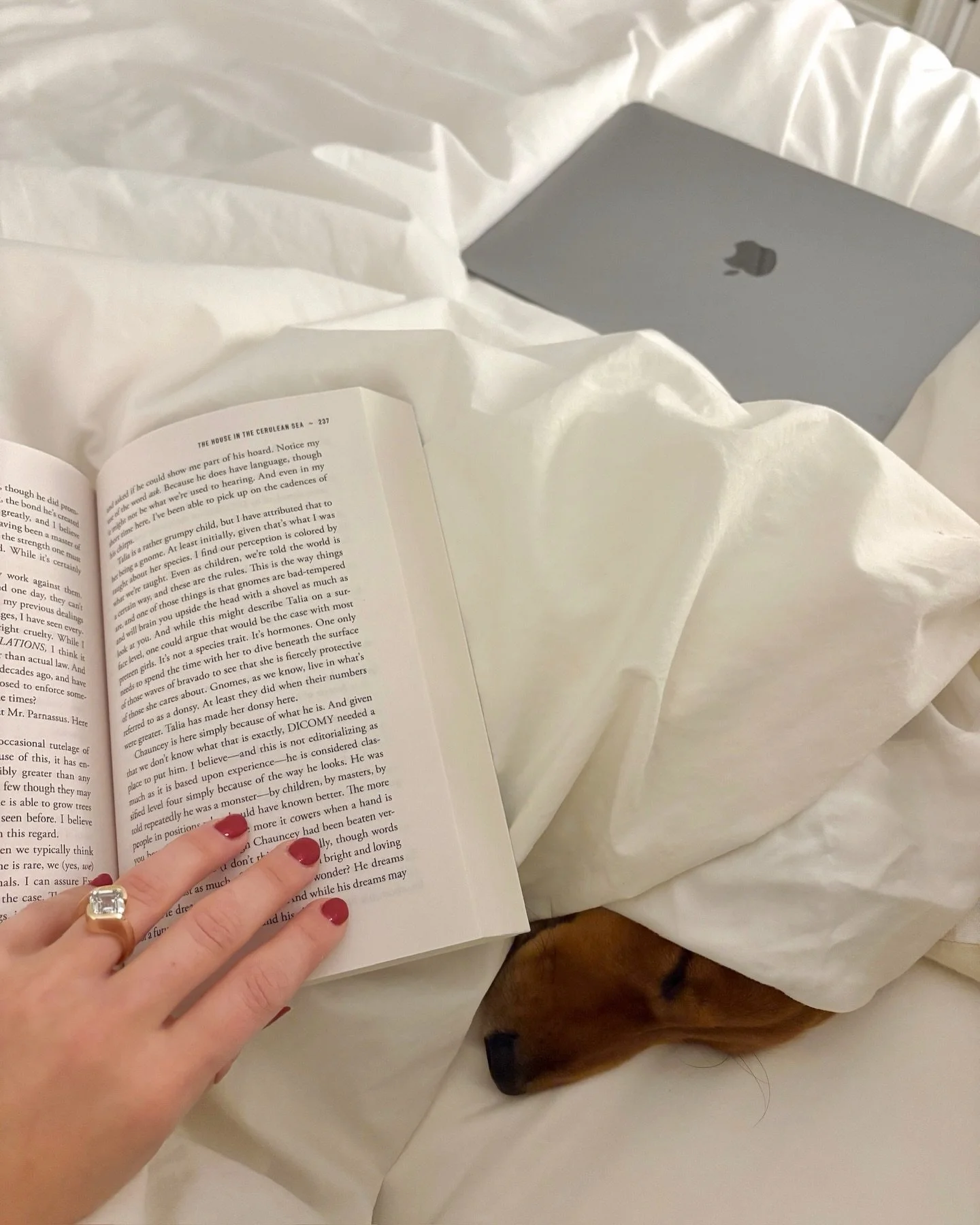 today&rsquo;s to-do list: ✔️