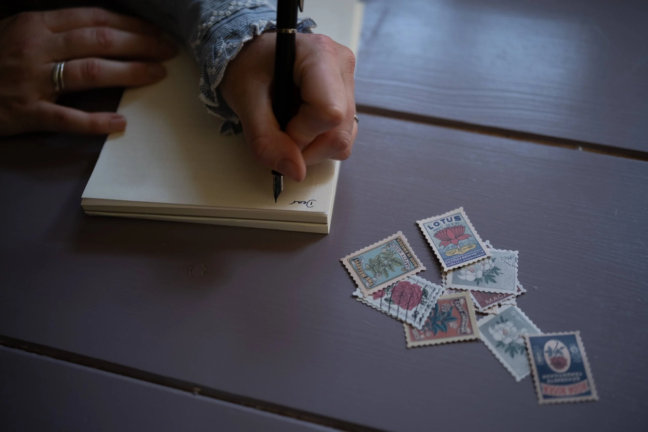 _DSF1703 (1) (1).jpg