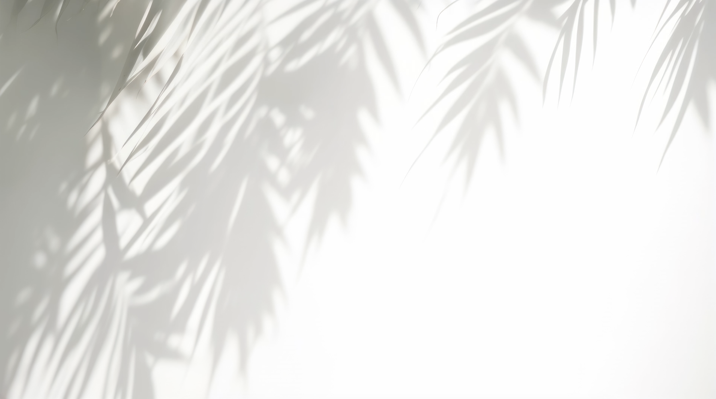 Screenshot 2026-03-11 at 6.08.04 pm.png