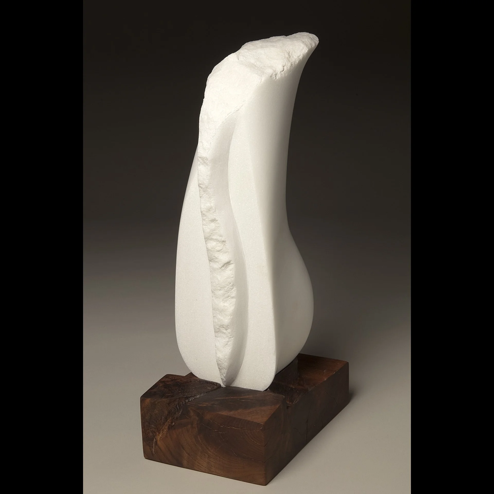 Torso, 16 x 6 x 8 inches, Colorado Yule marble, black walnut wood