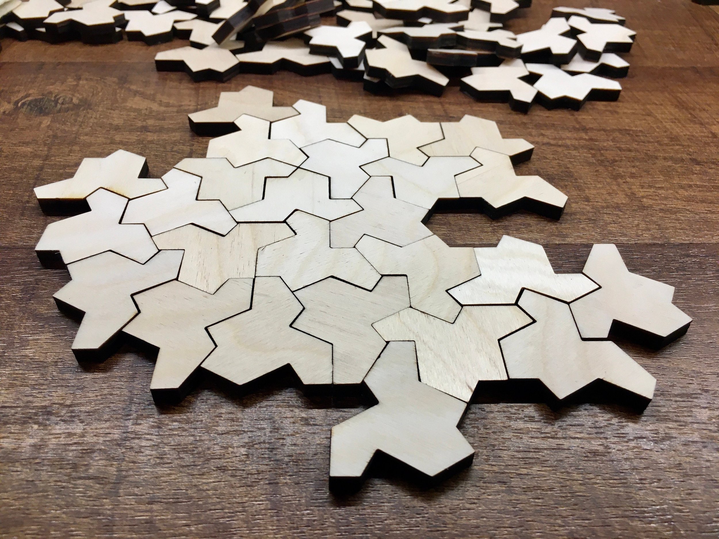 Einstein Puzzle - 13 sided - challenging puzzle - brain games