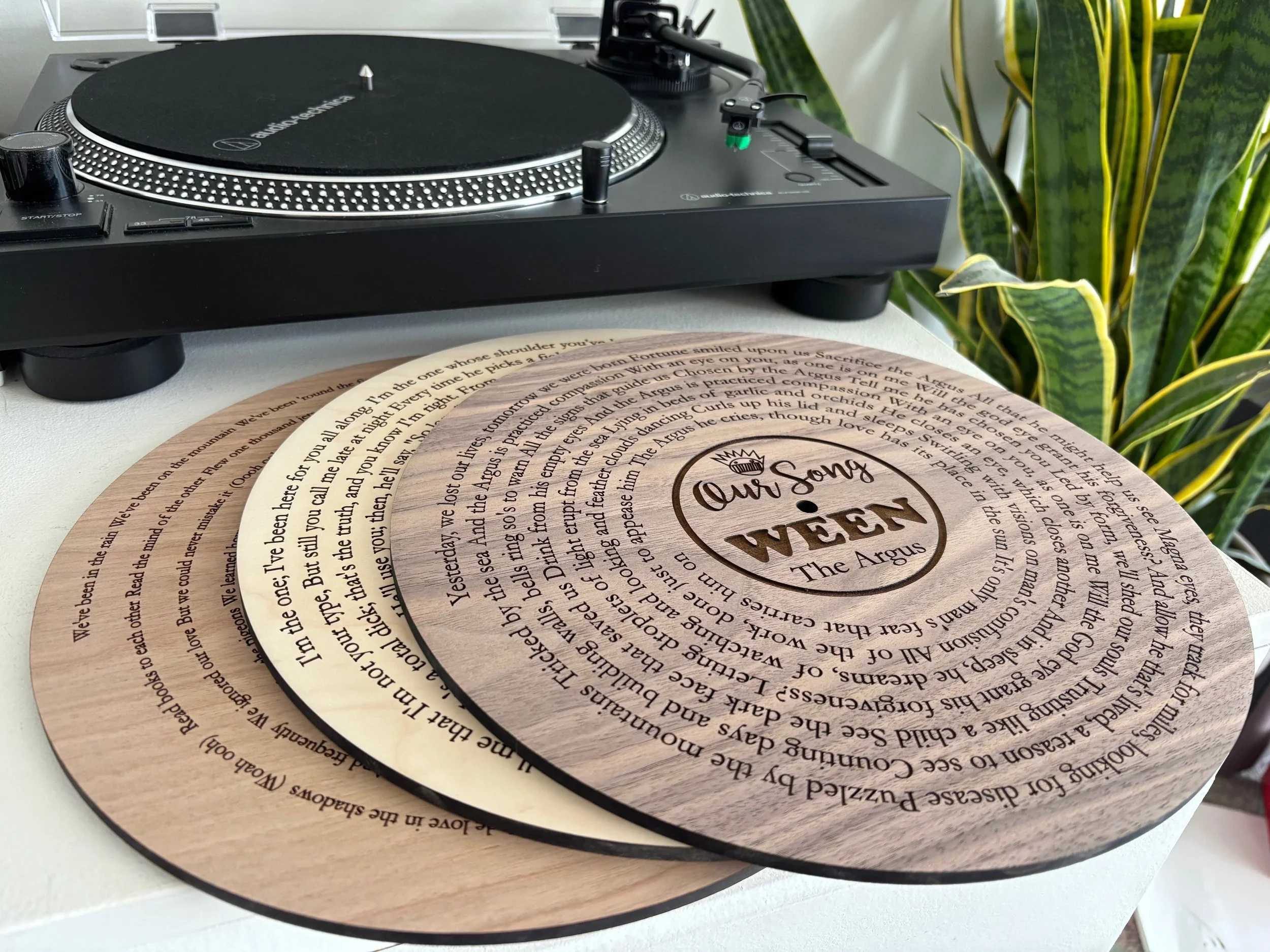 Wooden vinyl record plaque displayed on modern home wall