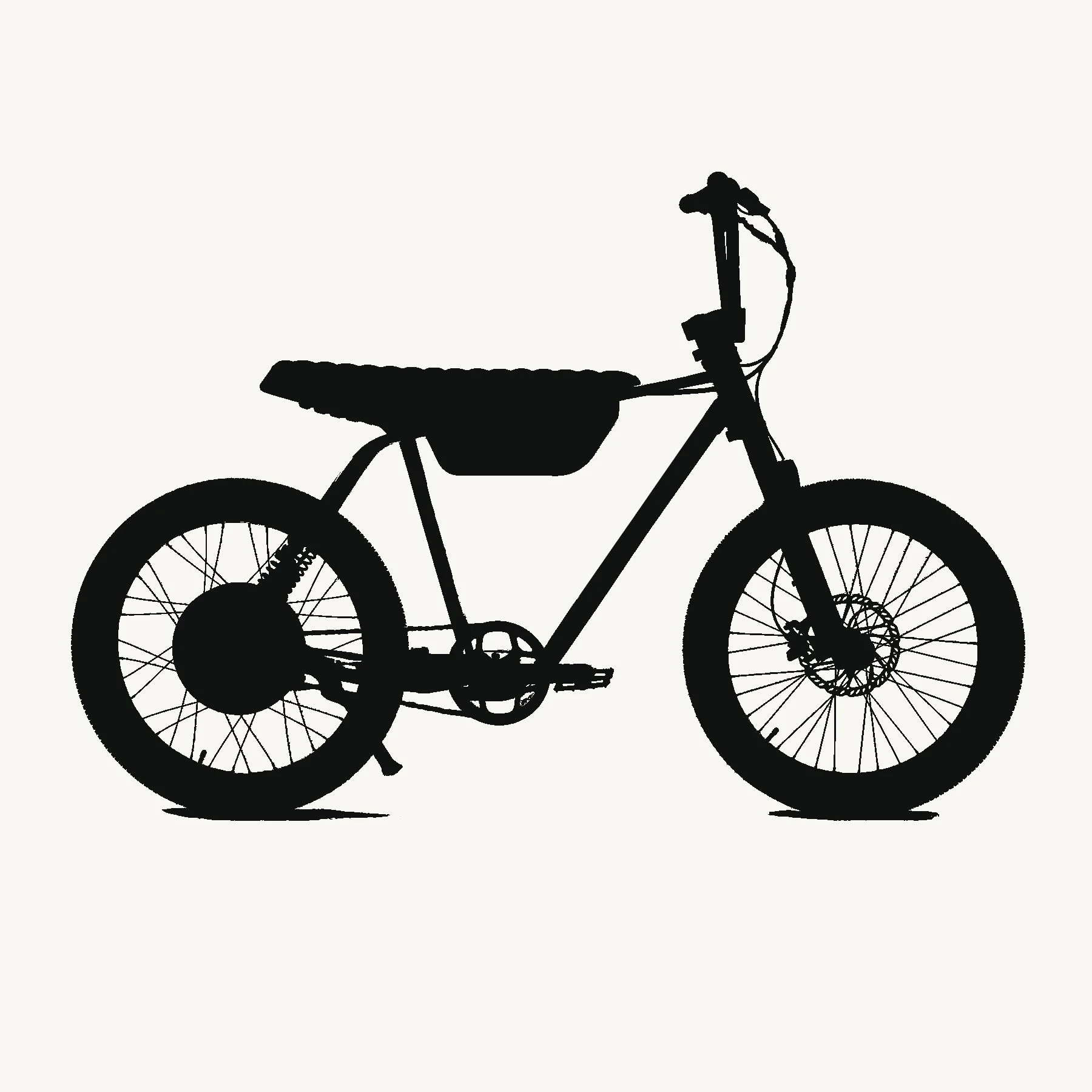 Zooz1200.jpg
