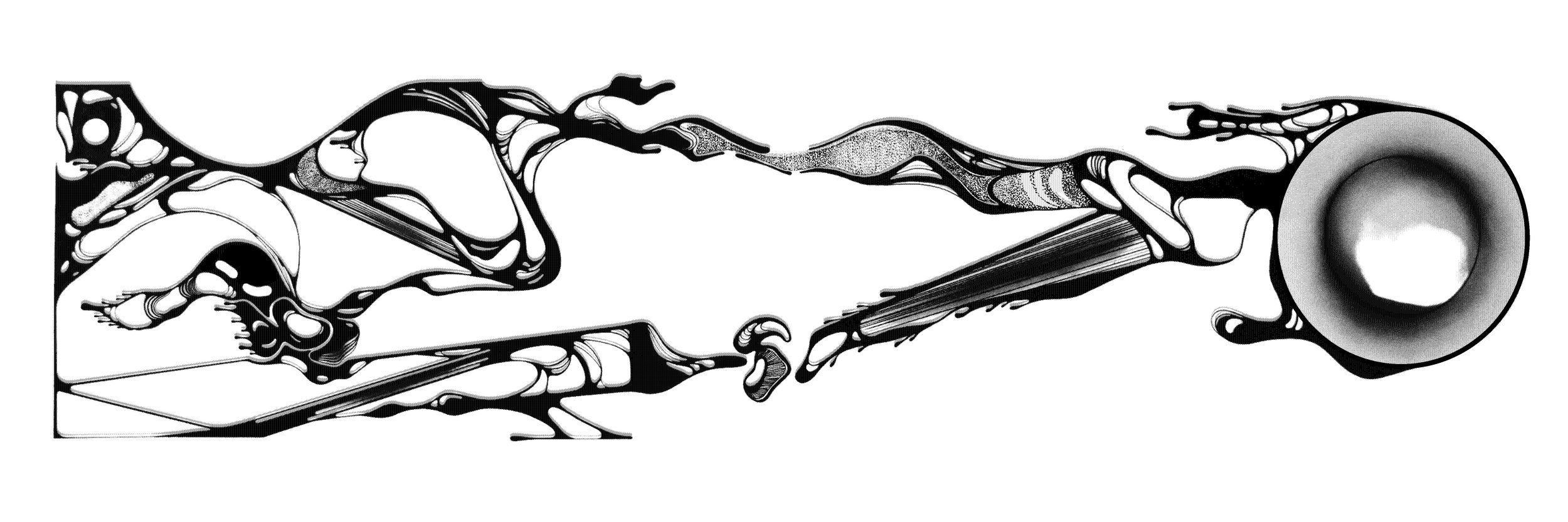 5' x 2' hand drawing with ink and graphite.