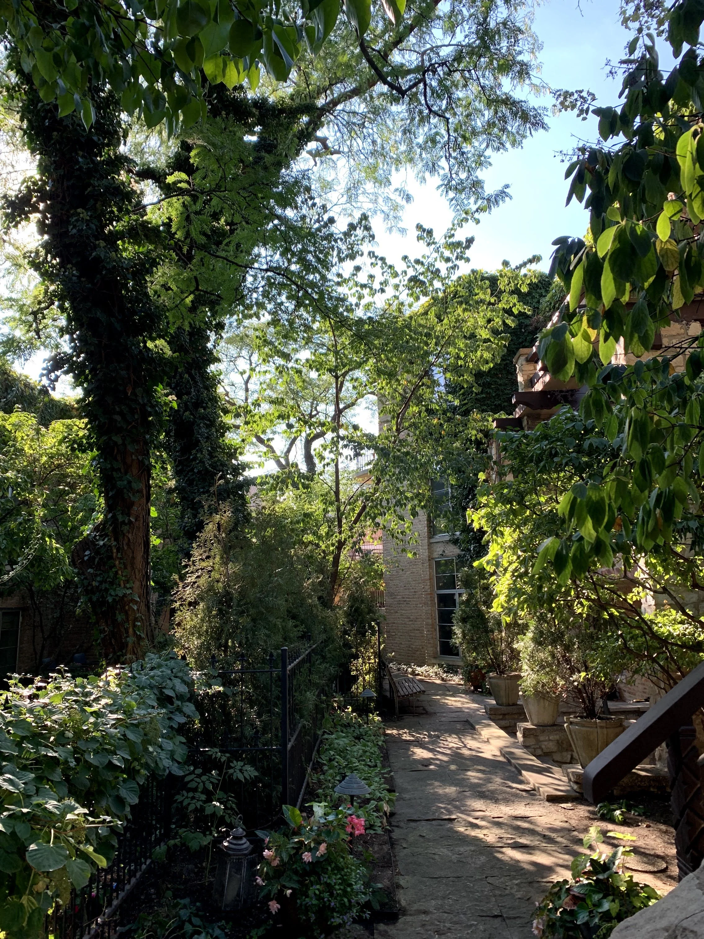 IMG_9742.jpg