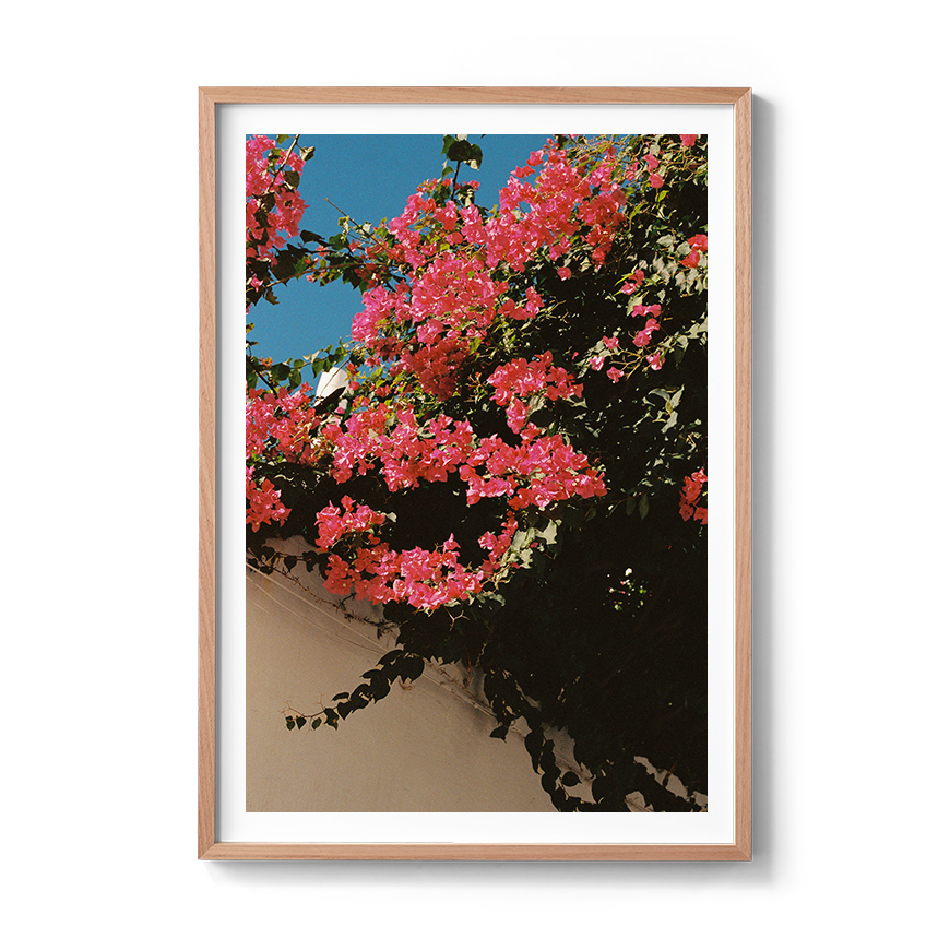 Transparent_PolignanoinSpring_OakFrame.png
